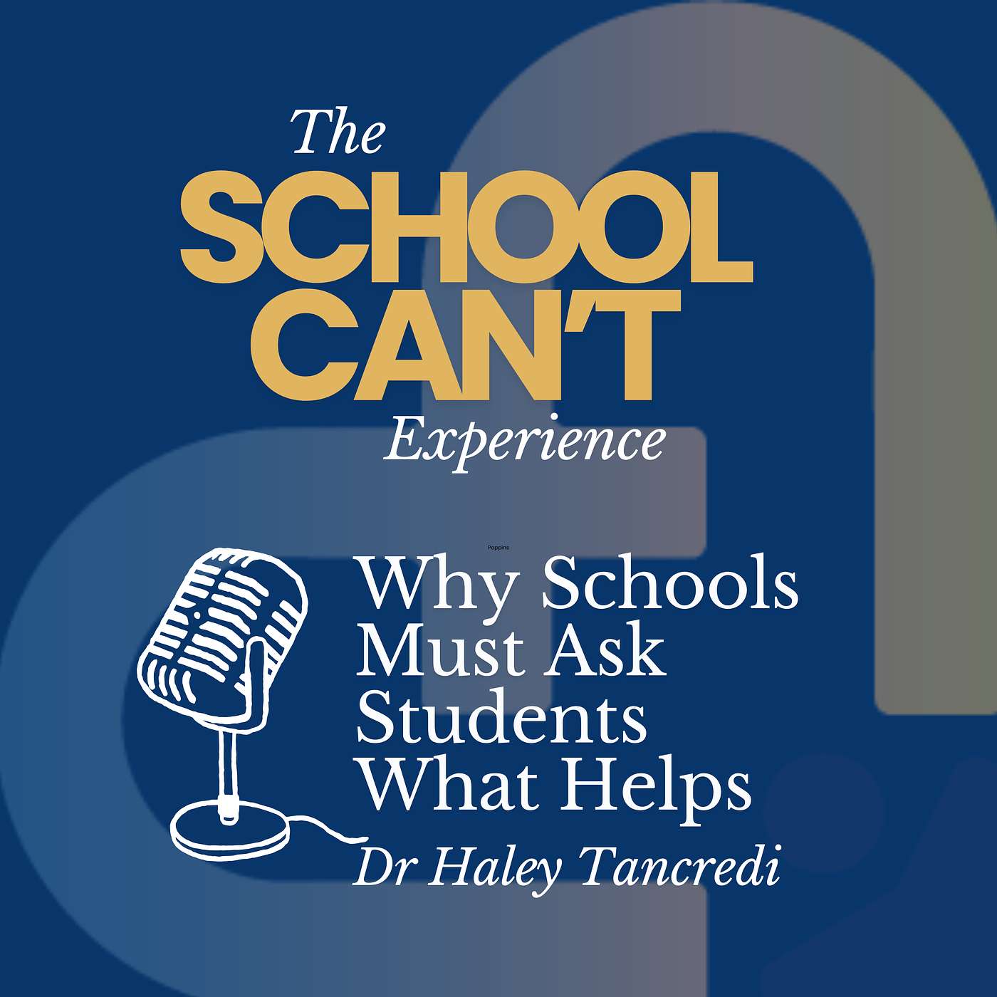#67 - Why Schools Must Ask Students What Helps, with Dr Haley Tancredi episode artwork