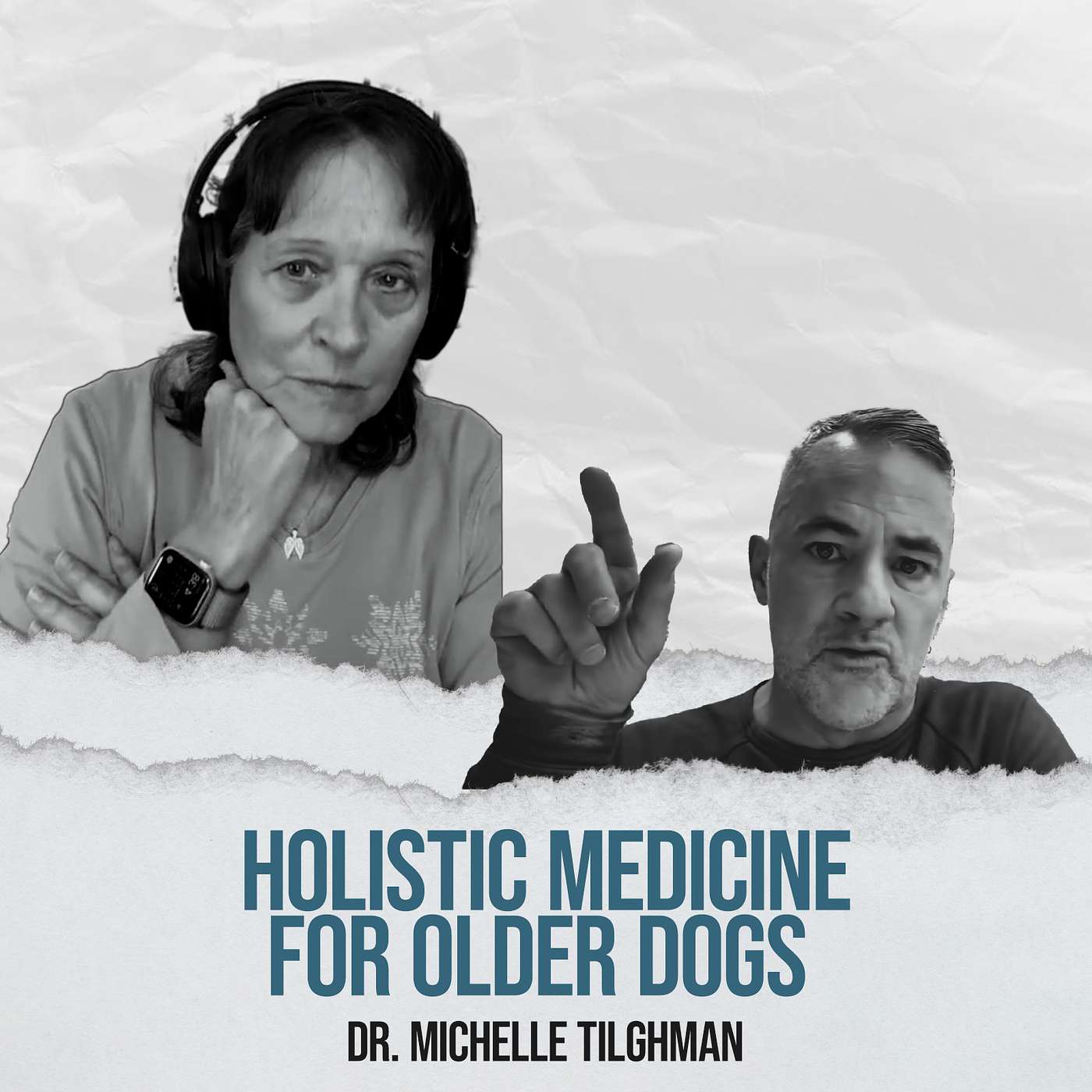 Holistic Pet Longevity Tips To Help Your Pet Live Longer - with Dr. Michelle Tilghman