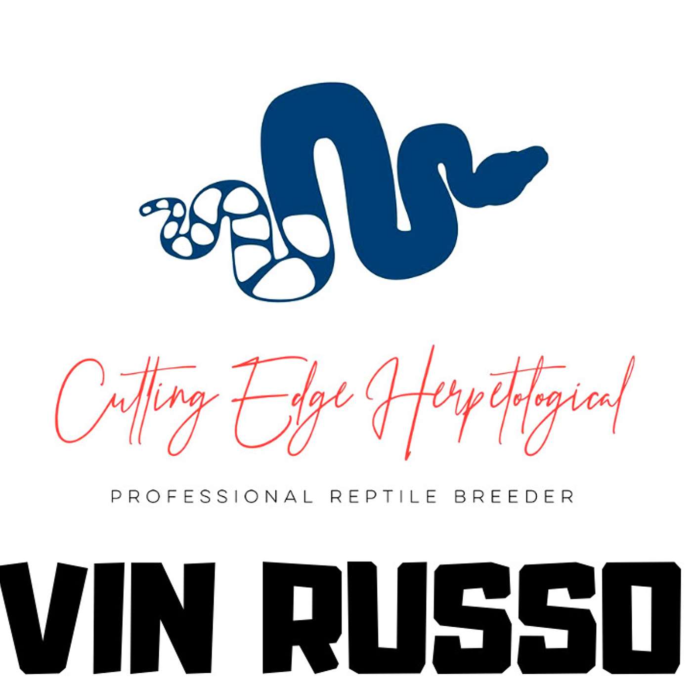 Vin Russo speaks on the reality of being a full time snake breeder | Cutting Edge Herps