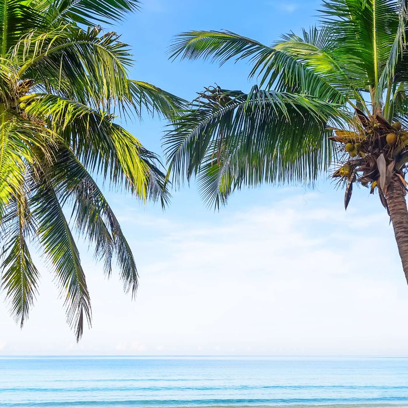 Enjoy Holy Week in the Dominican Republic episode artwork