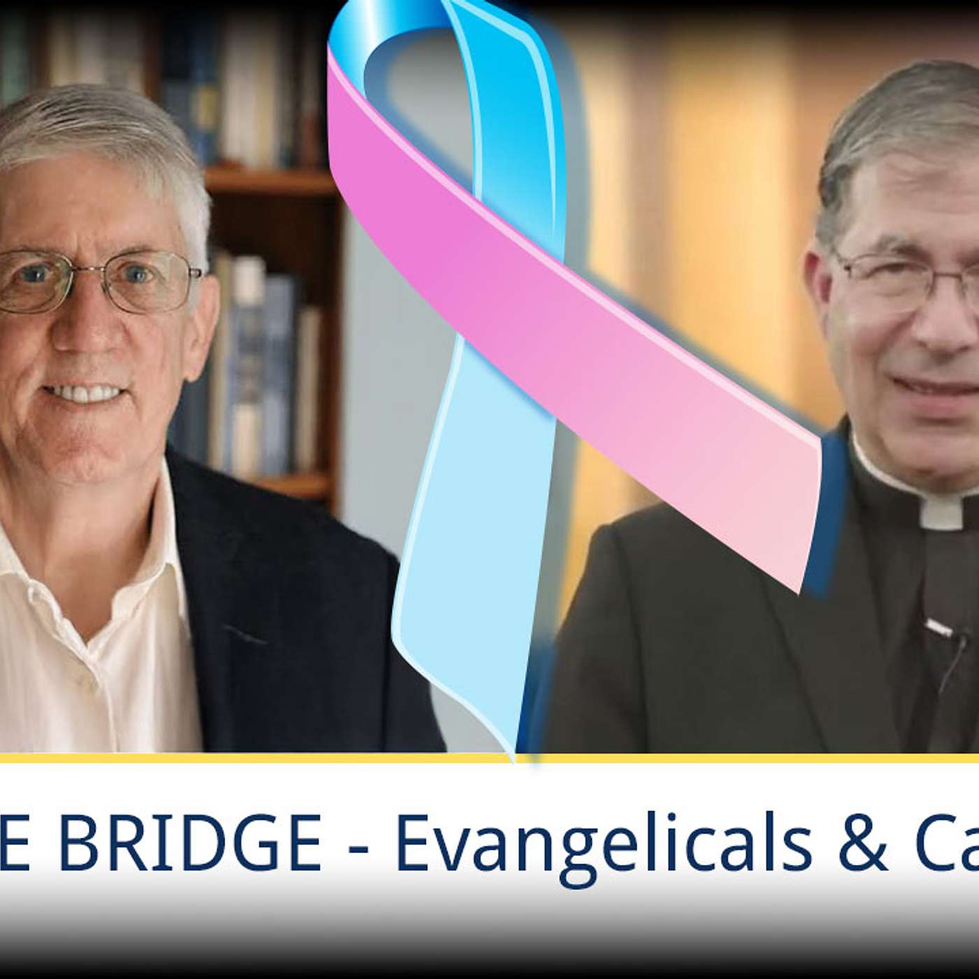 The ProLife Team Podcast 178 | Pastor John Ensor and Fr. Frank Pavone episode artwork