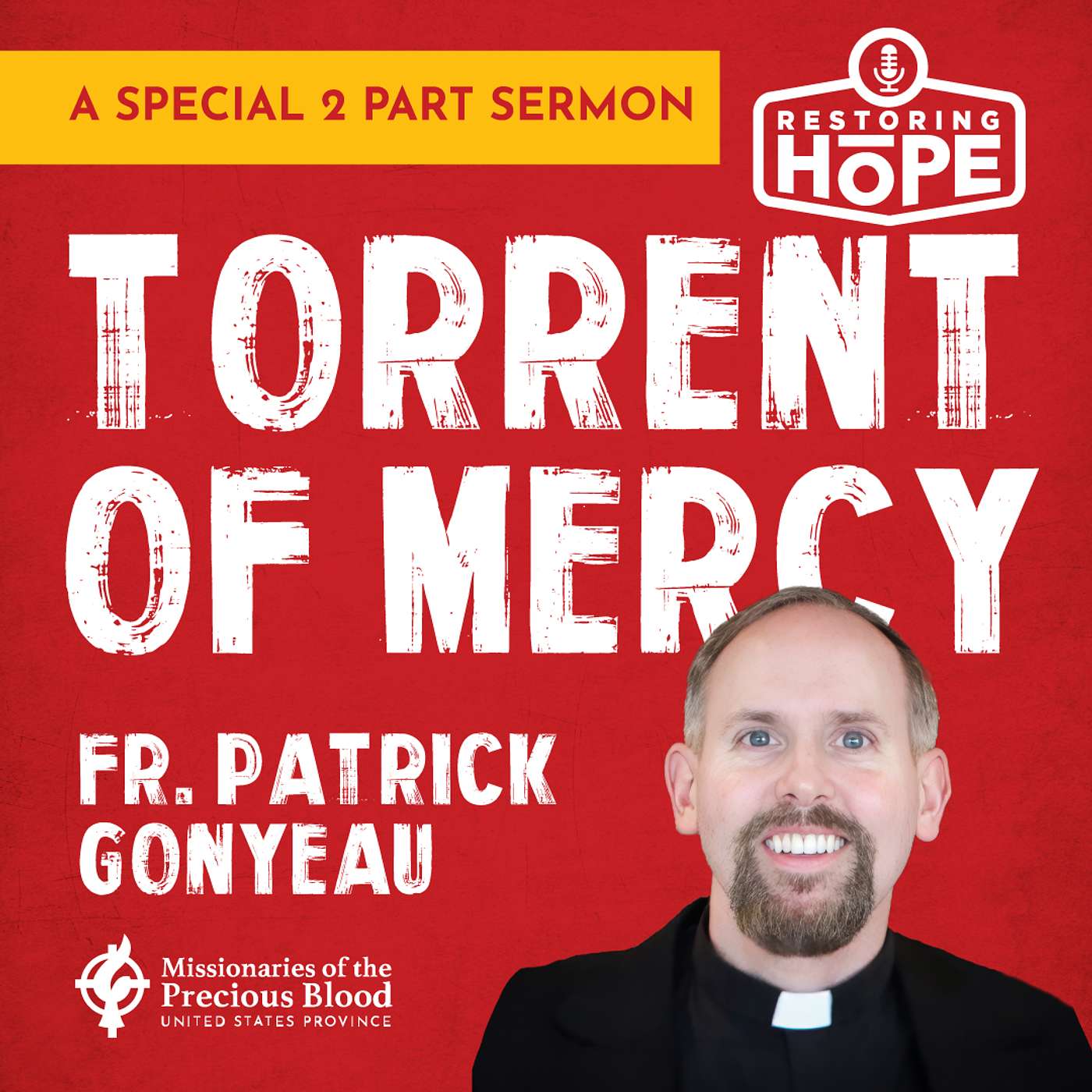 Torrent of Mercy Part 1 of 2 - Special Sermon Series with Fr. Patrick Gonyeau episode artwork