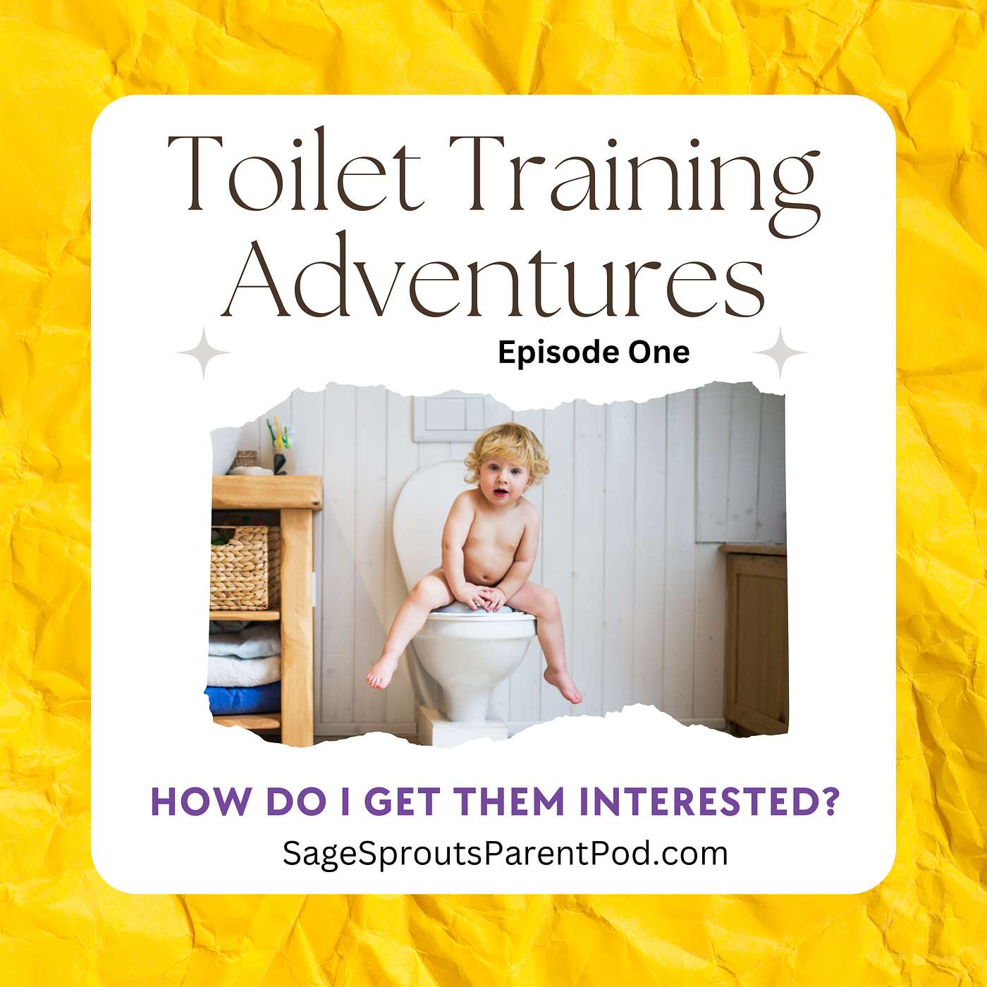 Toilet Training Adventures: How Do I Get Them Interested?