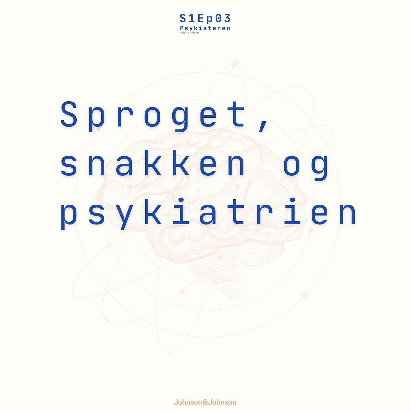 Sproget, snakken og psykiatrien Sproget, snakken og psykiatrien
