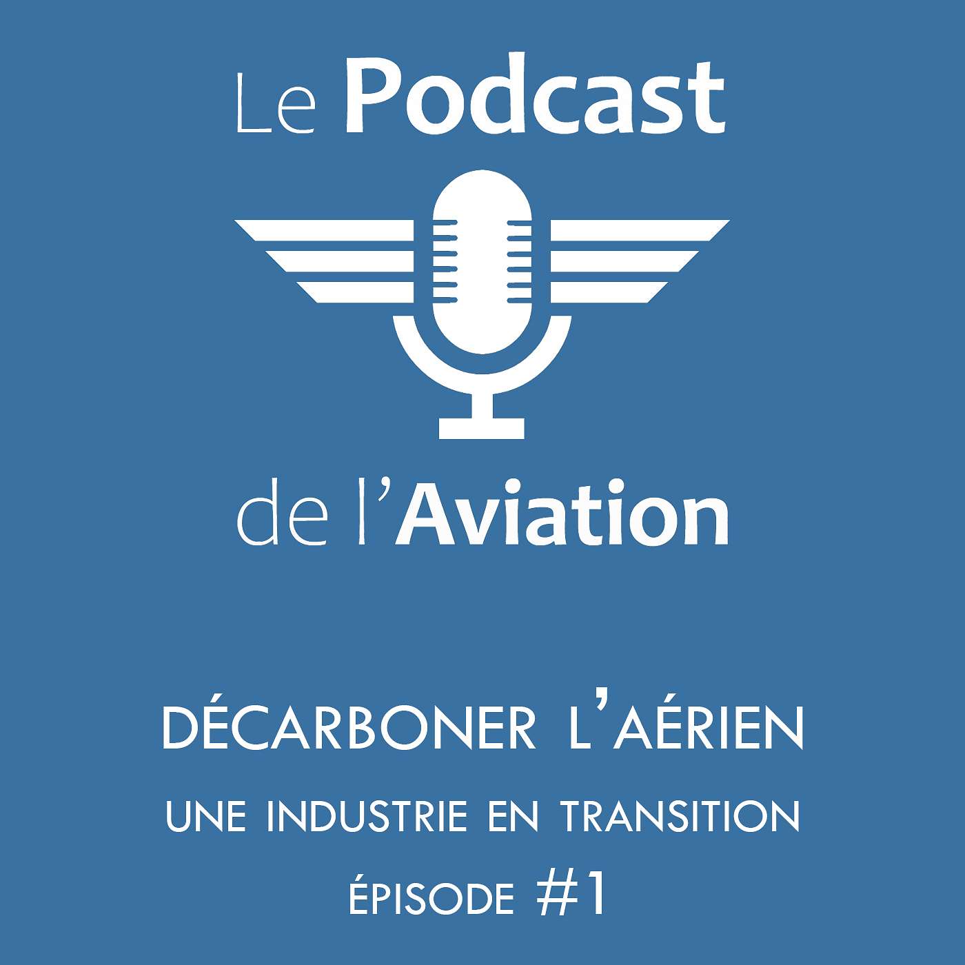 Décarboner l'aérien, une industrie en transition #1