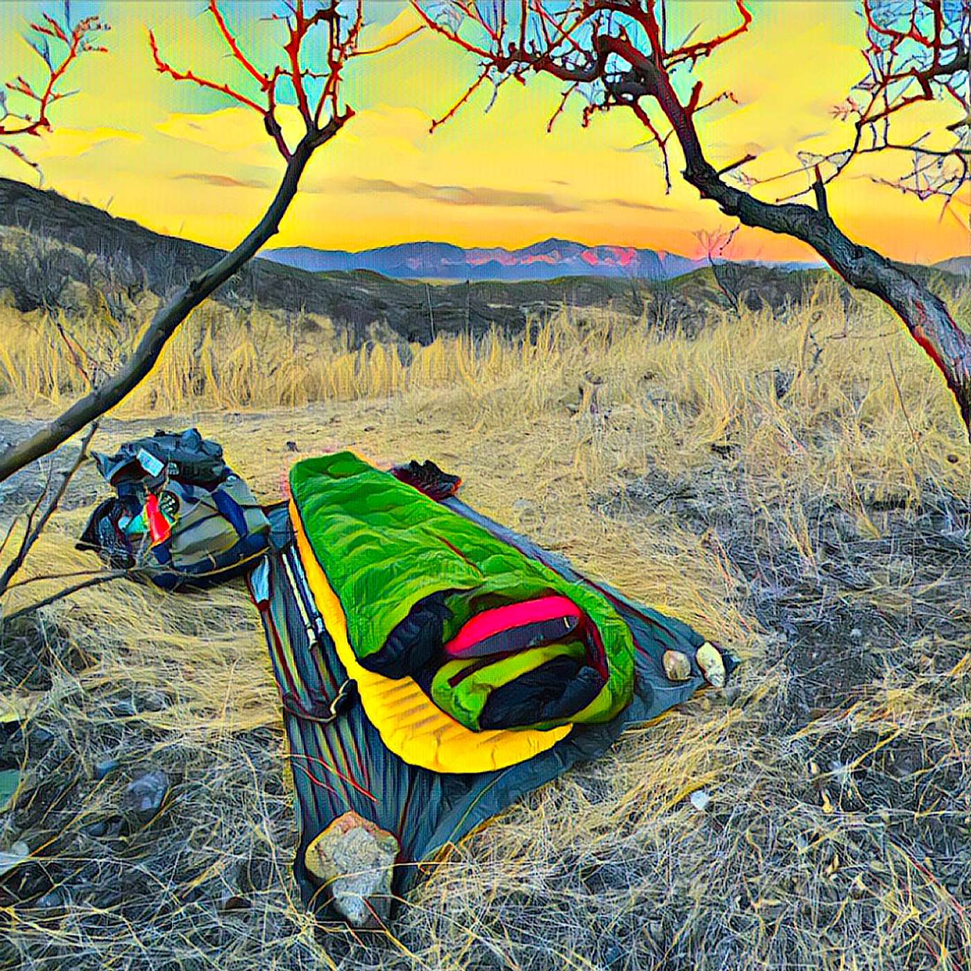 Arizona Trail: a whippoorwill in the gloaming