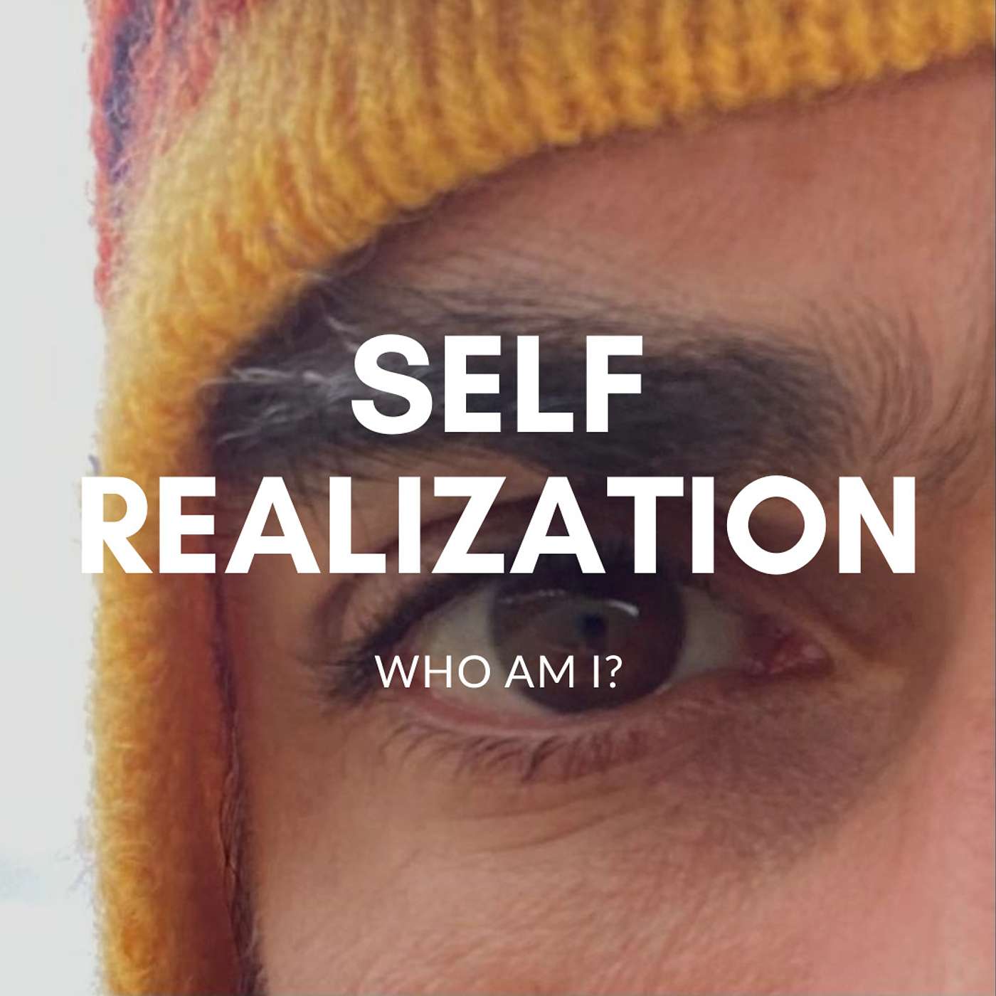 Meditations by Ofer Shani