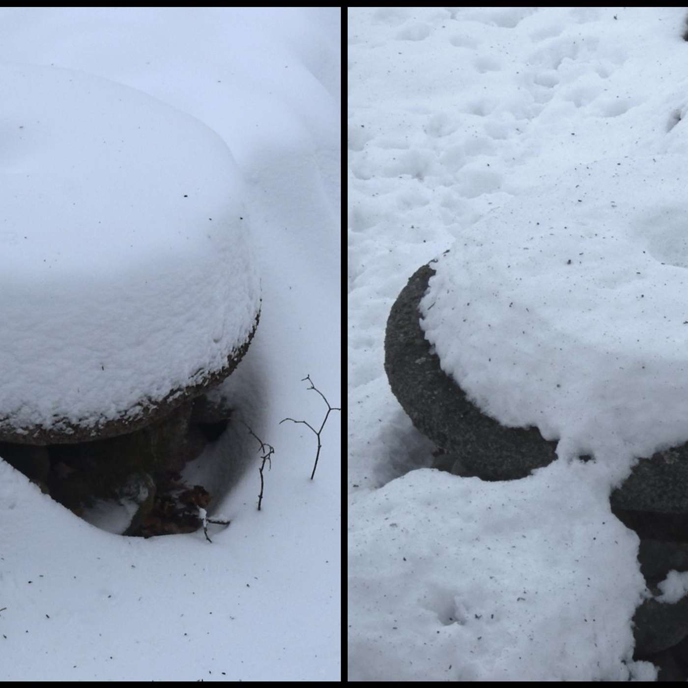 THE UPS AND DOWNS OF WINTER