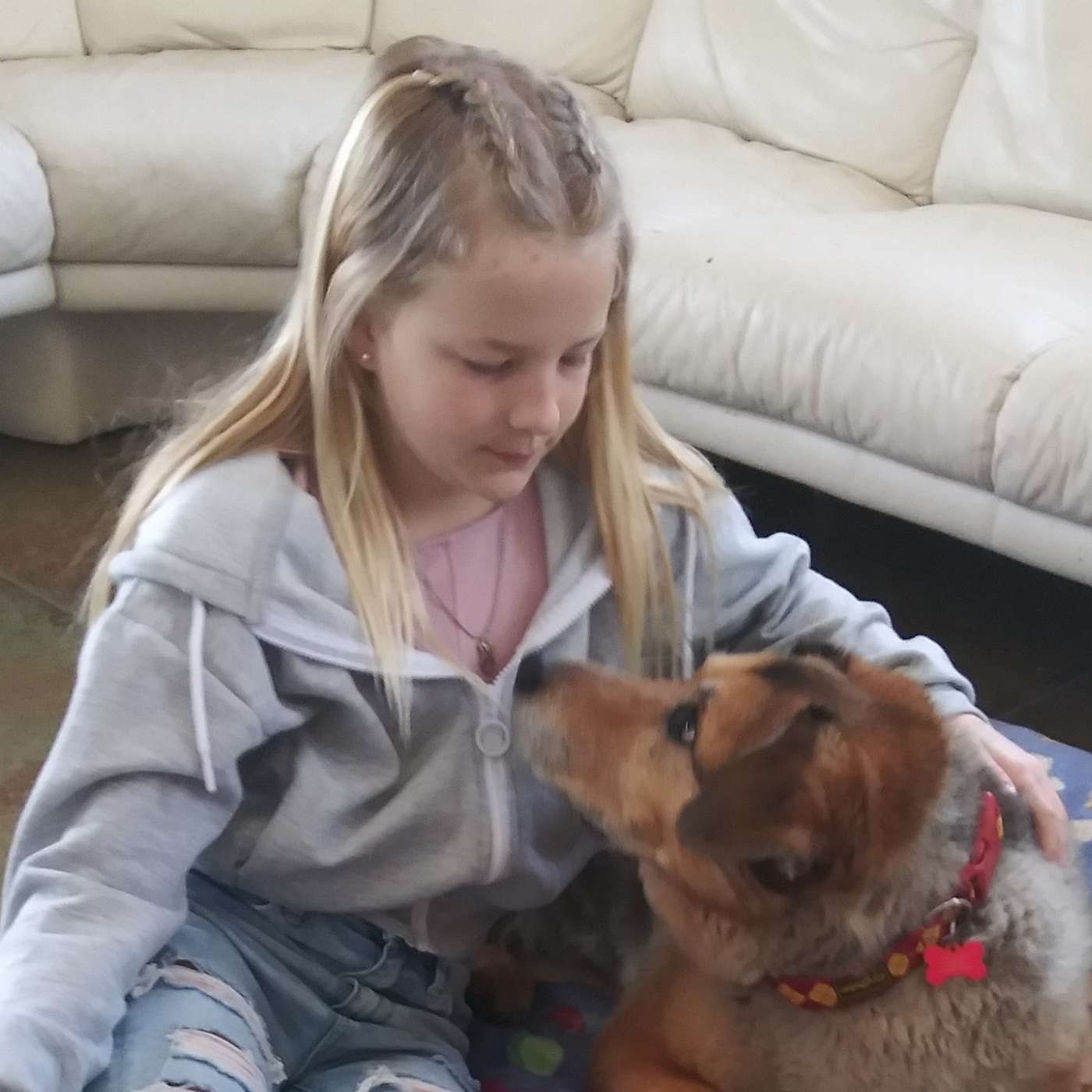 Dog Words