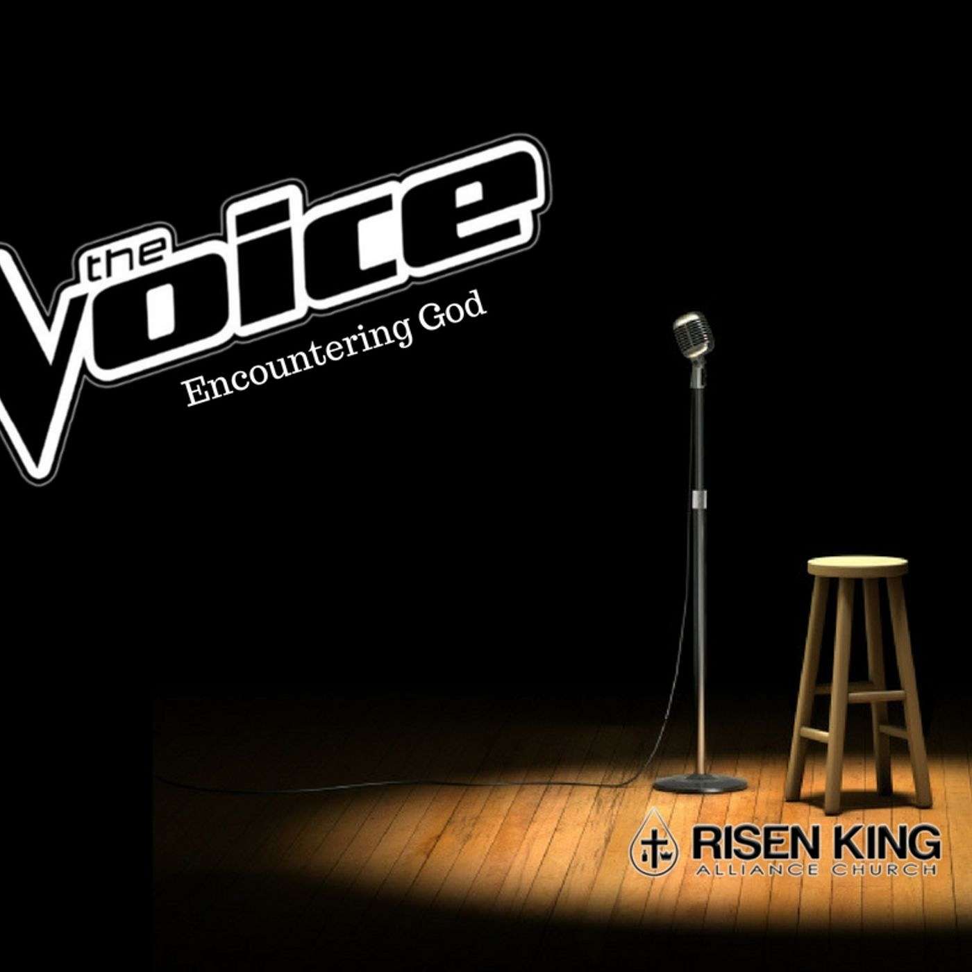 The Voice Part 9 (feat. Mike Plunket)