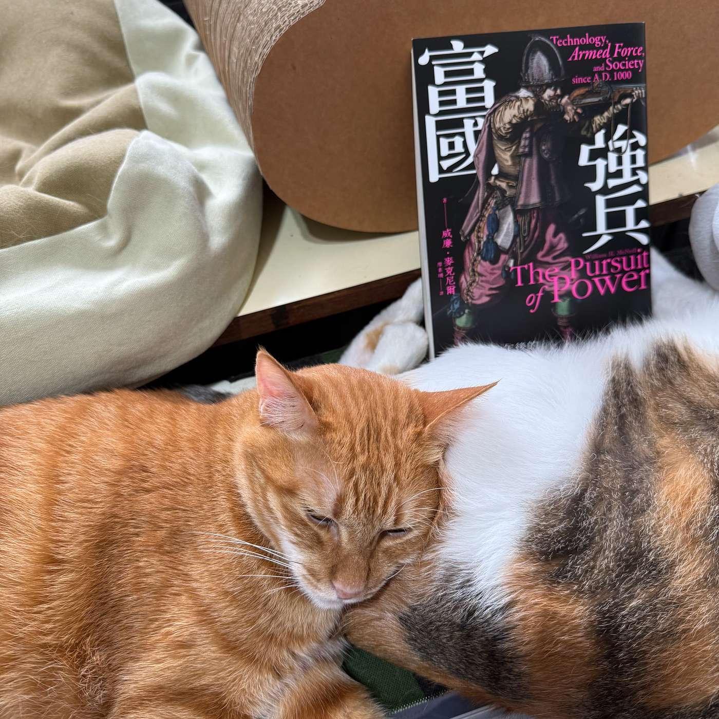 【書中自有黃金鮑EP105】軍工複合體想要什麼：威廉．麥克尼爾，《富國強兵》