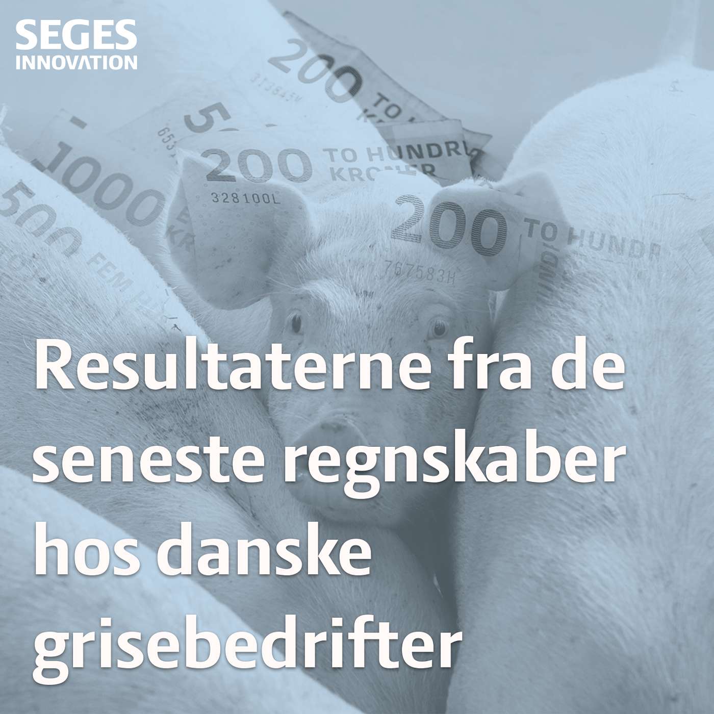 Griseproduktion