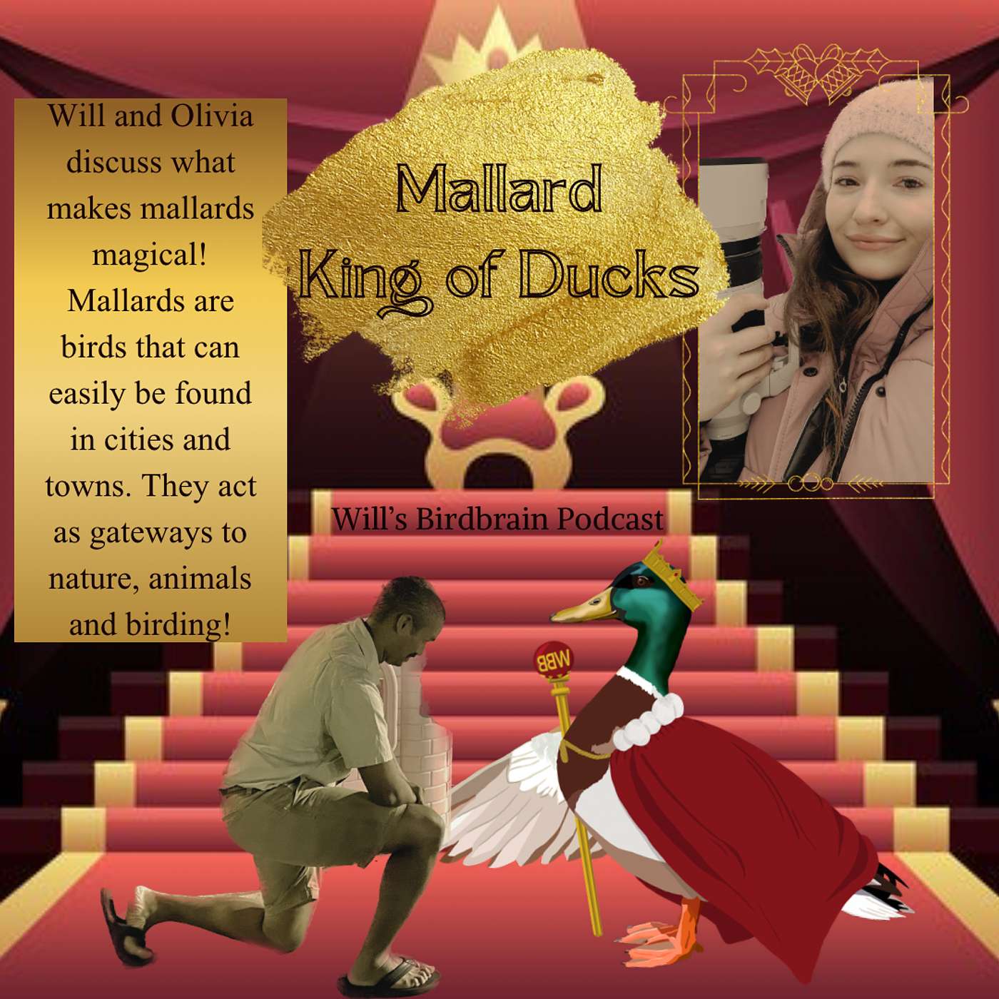 Will\'s Birdbrain