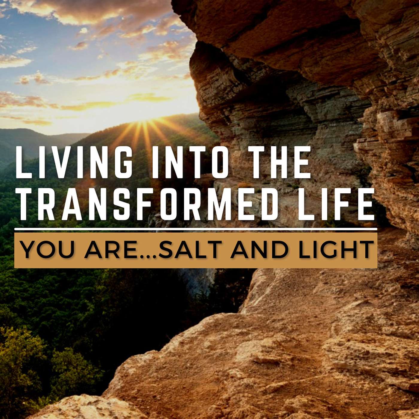 YOU ARE…Salt and Light
