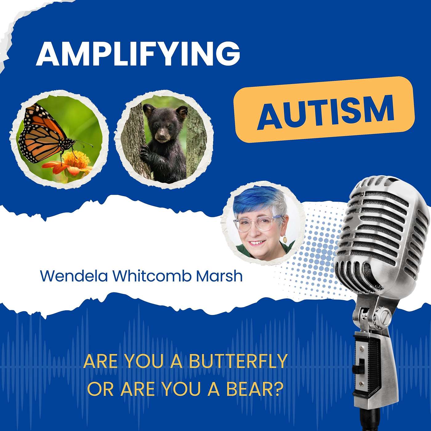 Are You a Butterfly or a Bear? Understanding Social Energy in Autism episode artwork