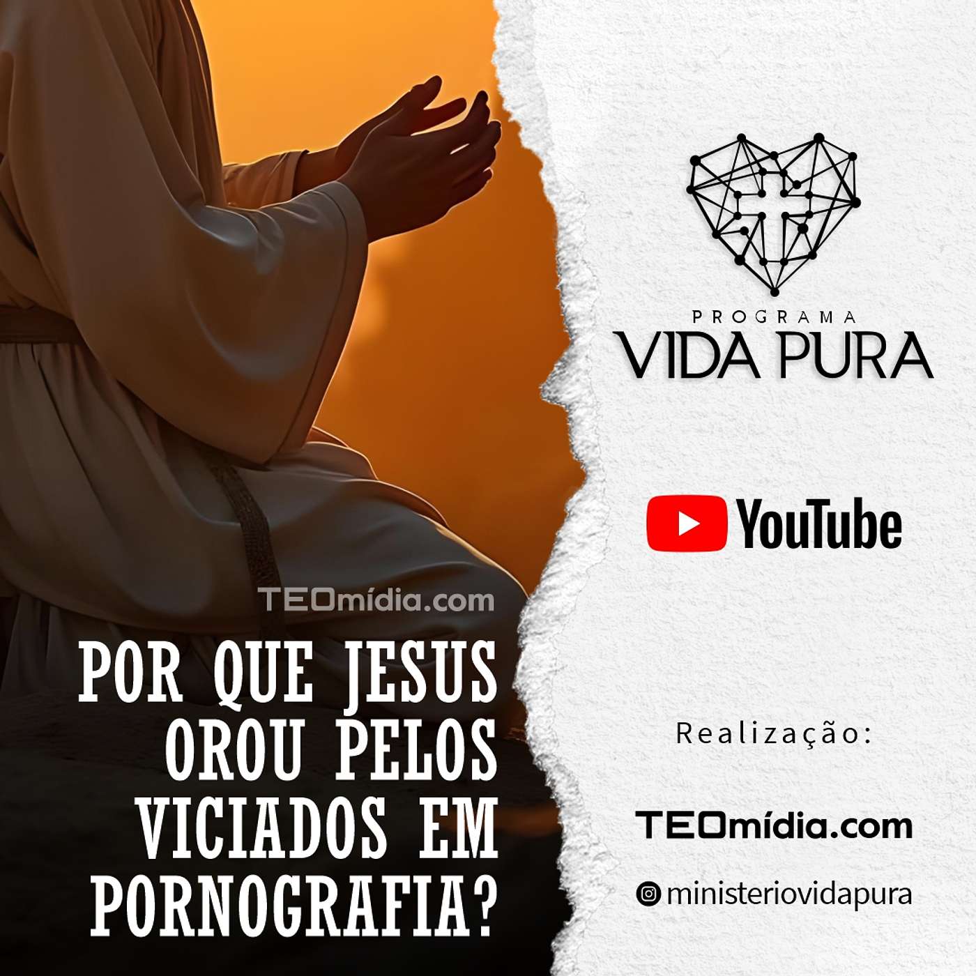 Vida Pura