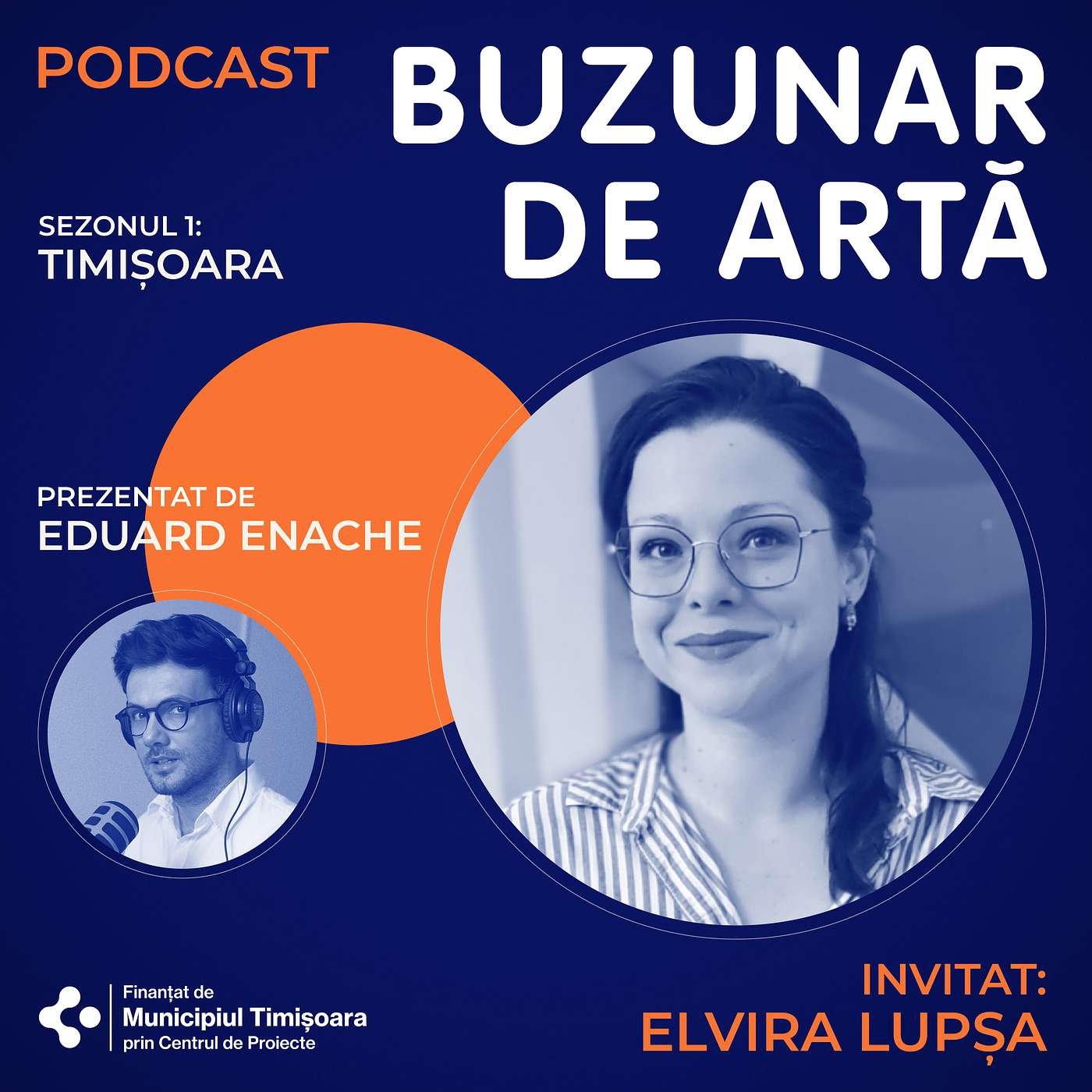 Podcast Buzunar de Artă