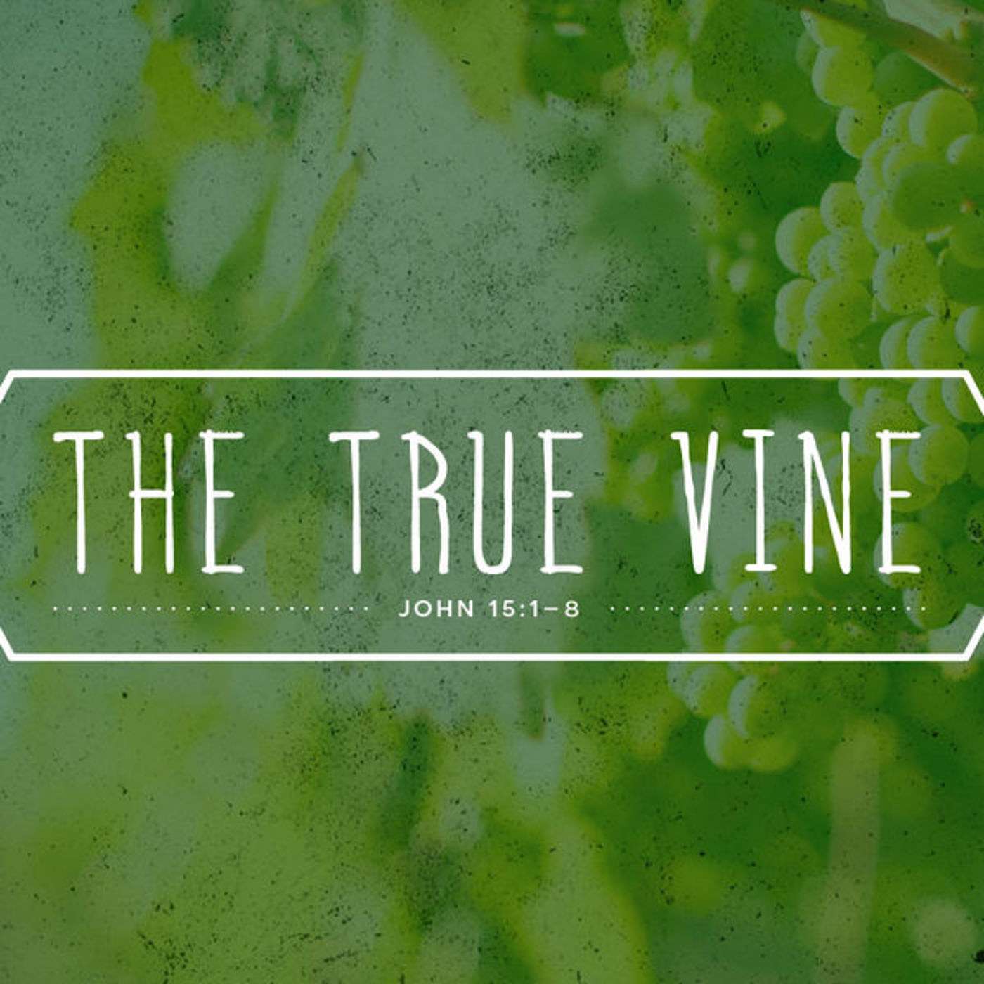 The True Vine