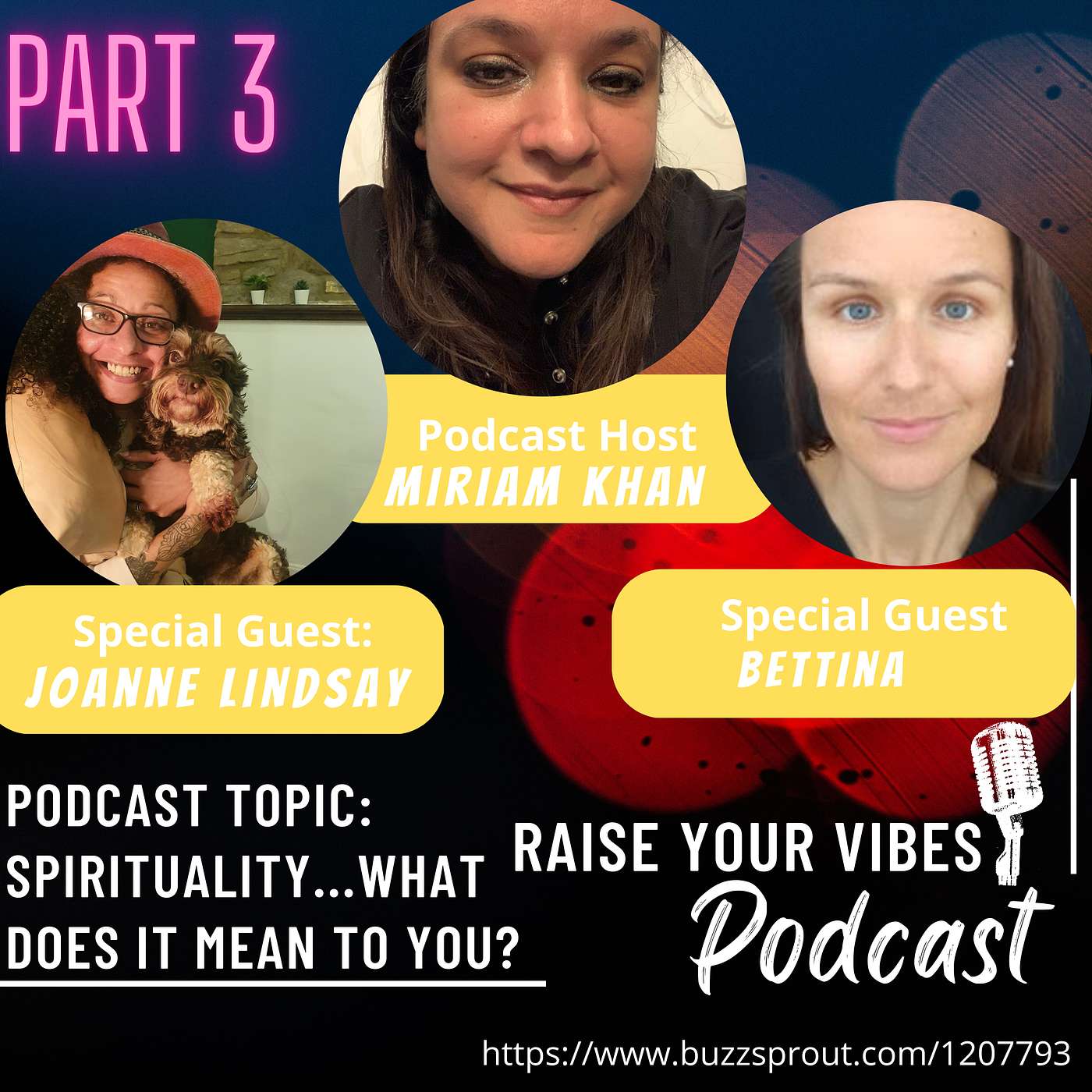Raise Your Vibes Podcast