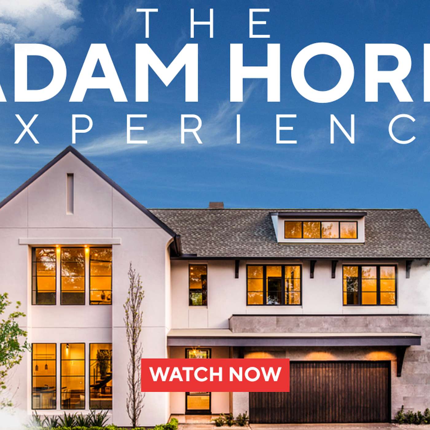 The Adam Horn Experience cover art