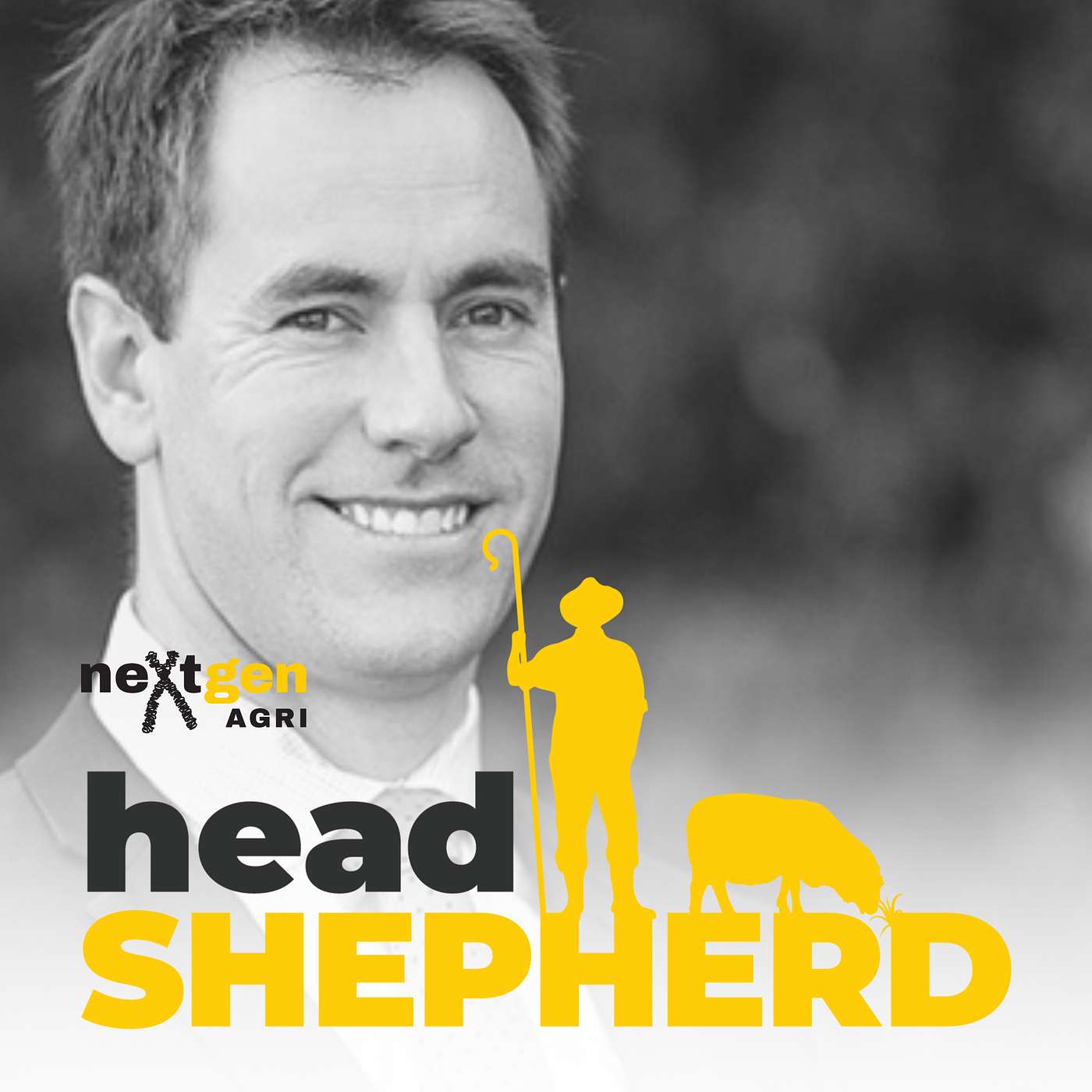 Head Shepherd