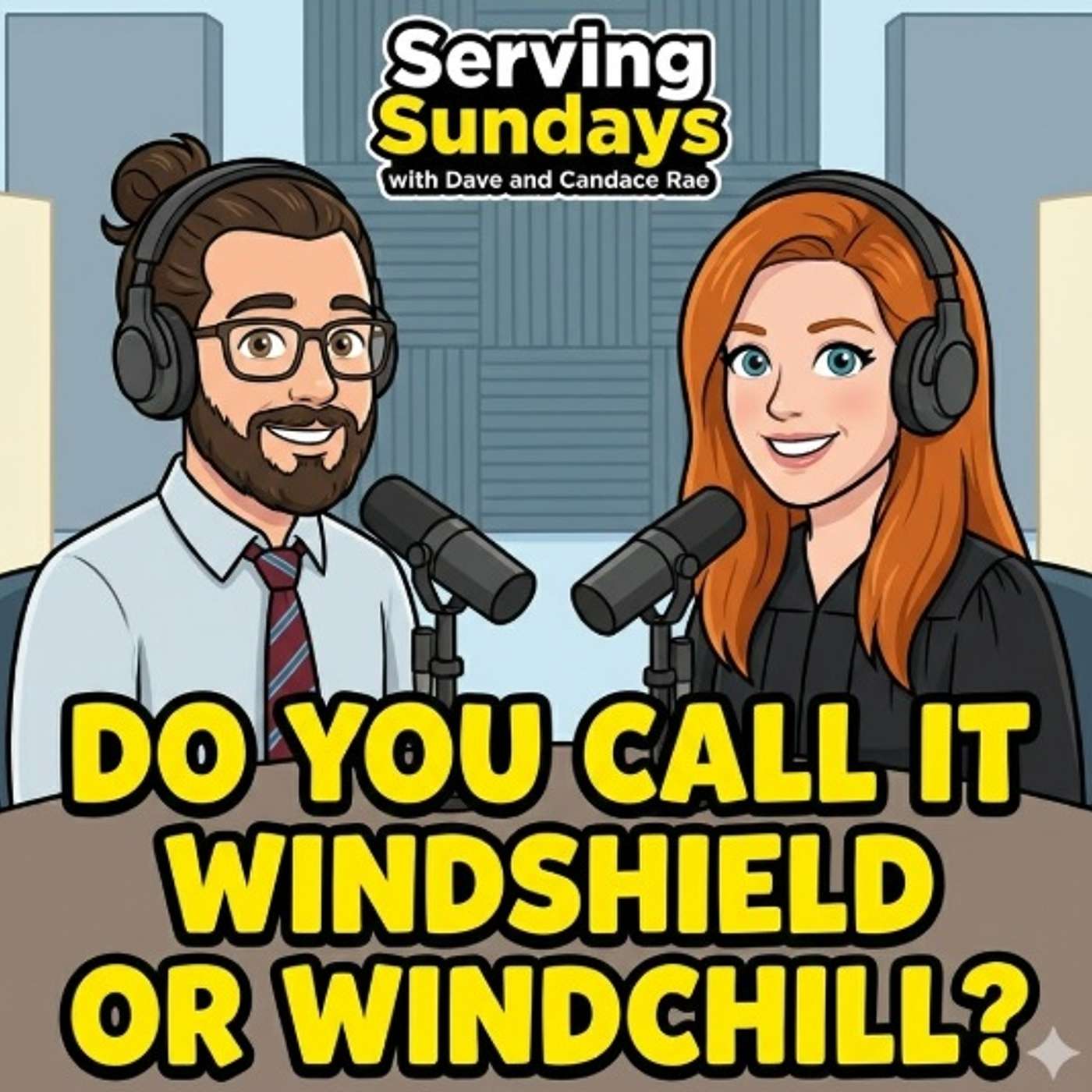Do You Say Windshield or Wind Chill? Do You Say Windshield or Wind Chill?