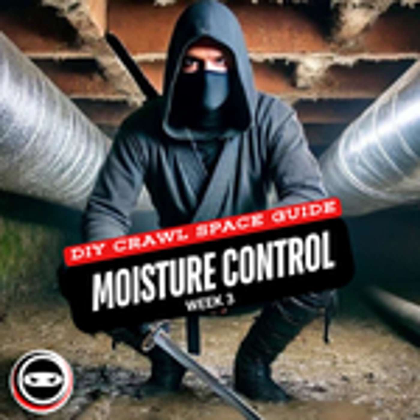 DIY Crawl Space Guide: Mastering Moisture Control Week 3