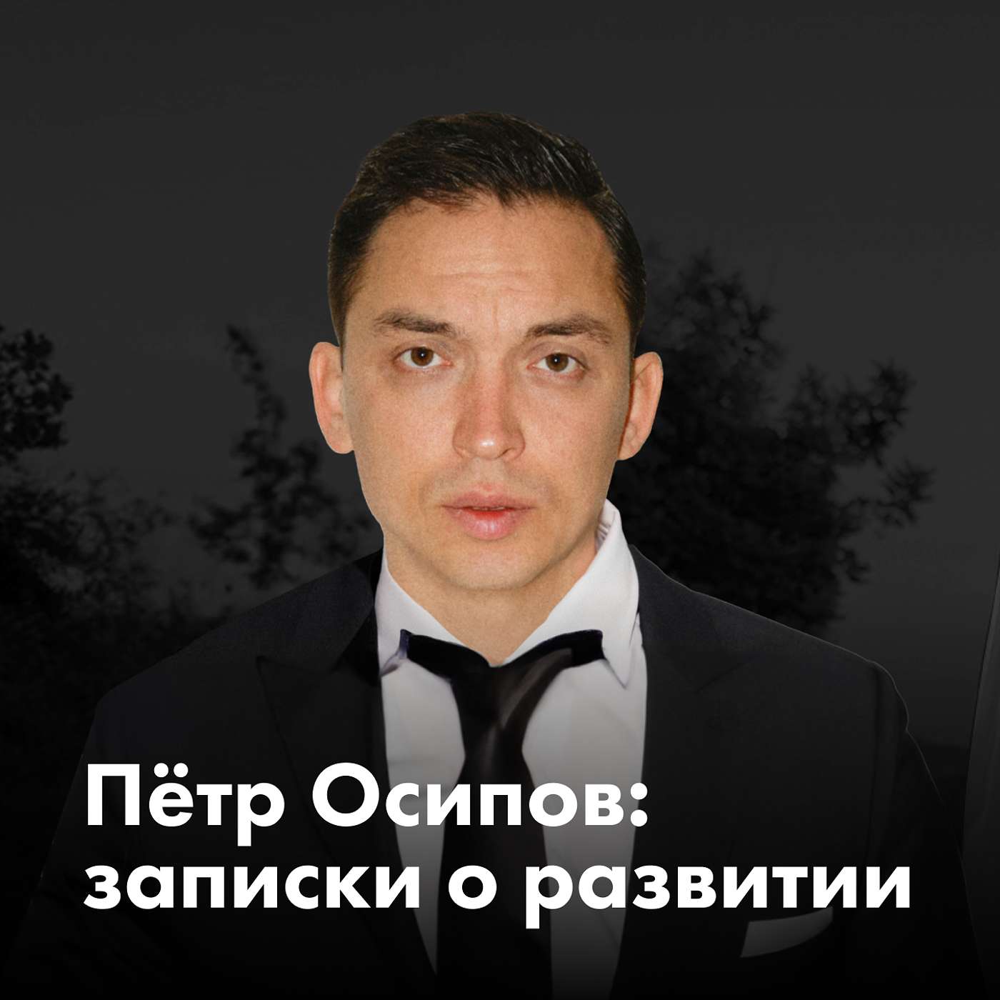 Пётр Осипов | записки о развитии