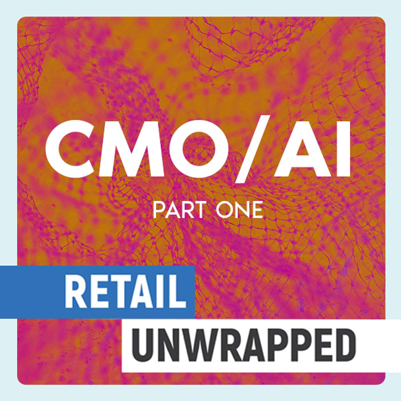 AI: The Future of Retail Marketing Part 1 with Lindsey Scheftic episode artwork