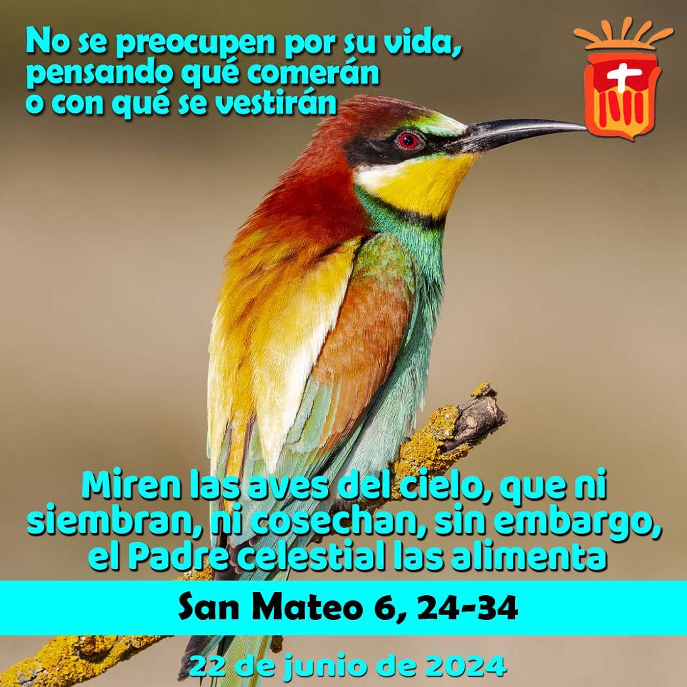 2024-06-22 San Mateo 6, 24-34: Sábado XI Ordinario.