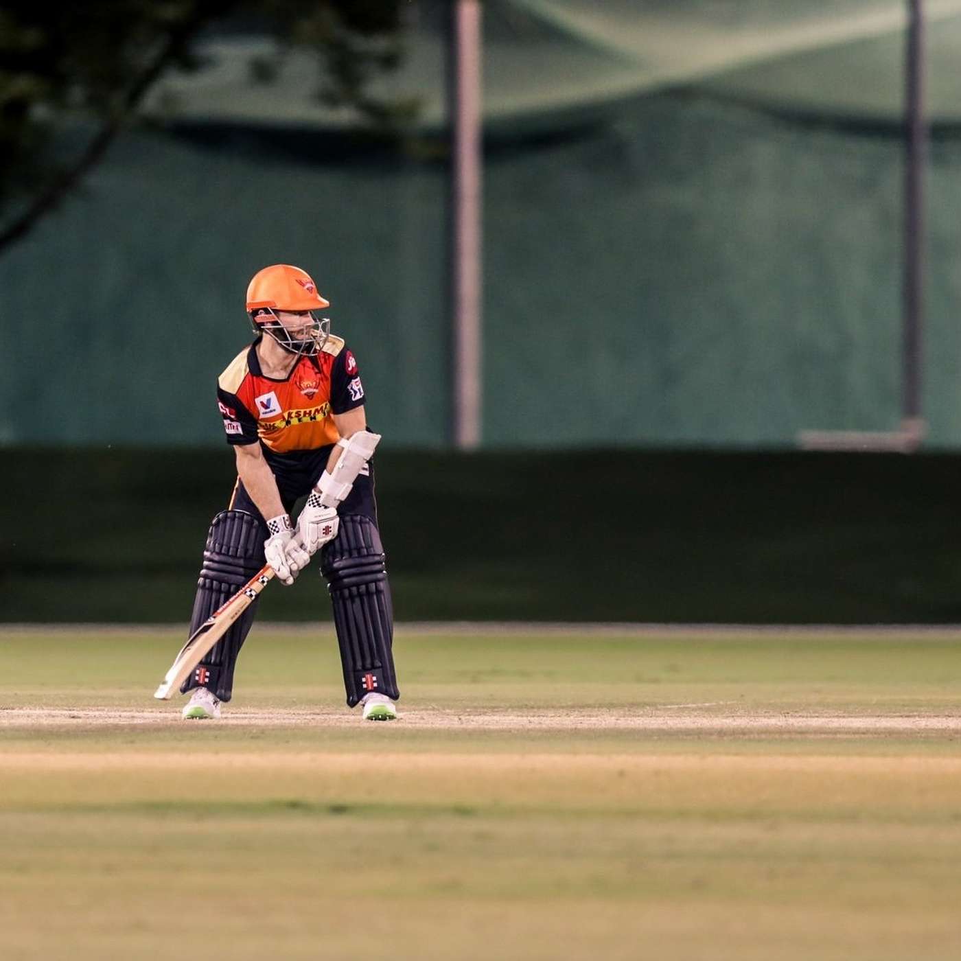 Gully Boys of Cricket