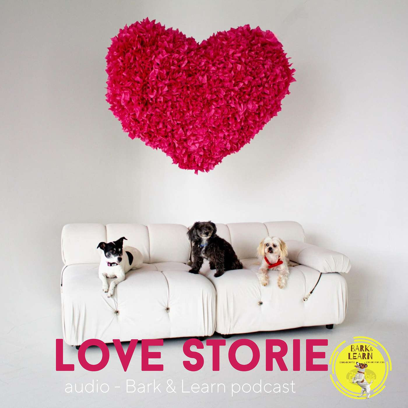 Pet Pals Bark & Learn