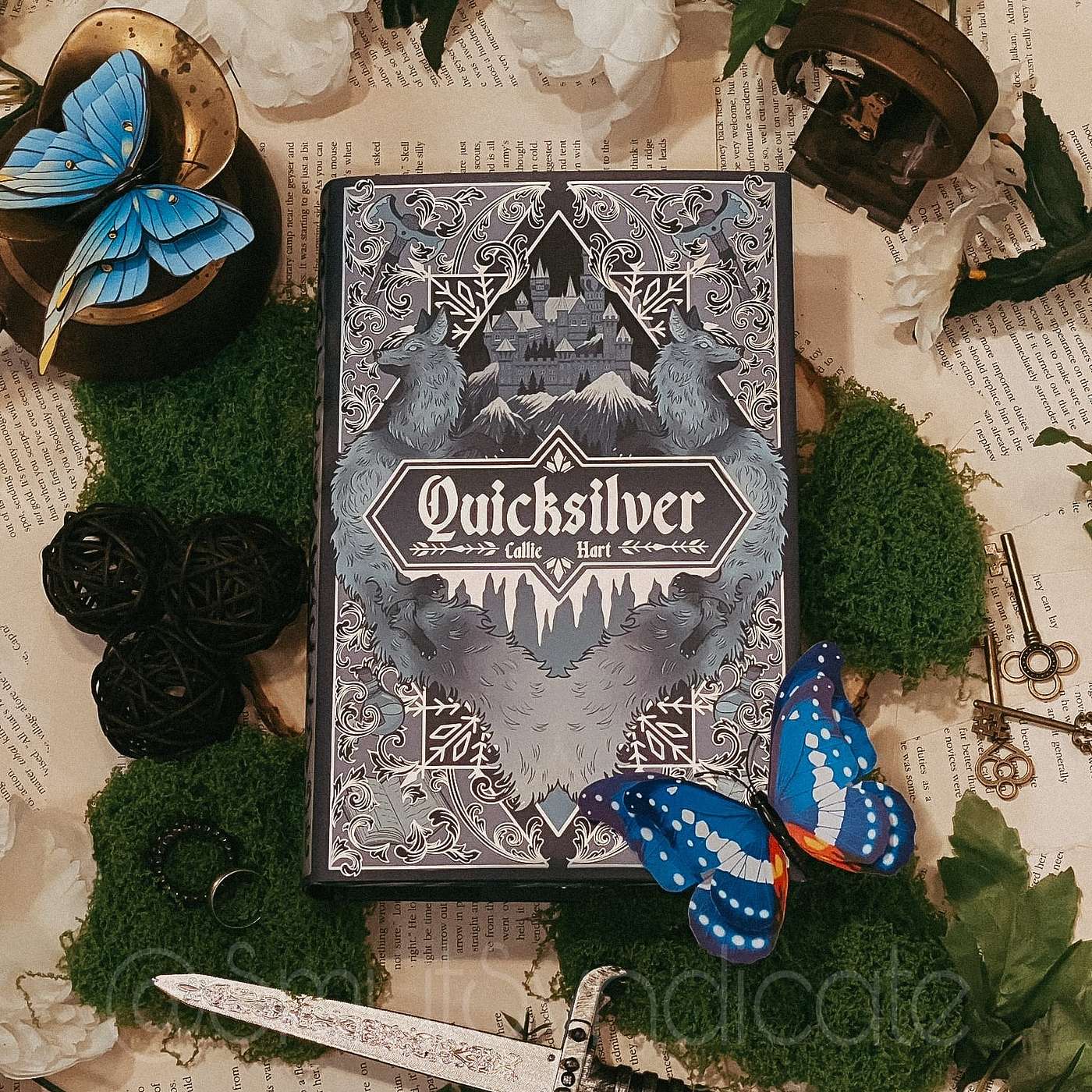 Quicksilver - Book Report