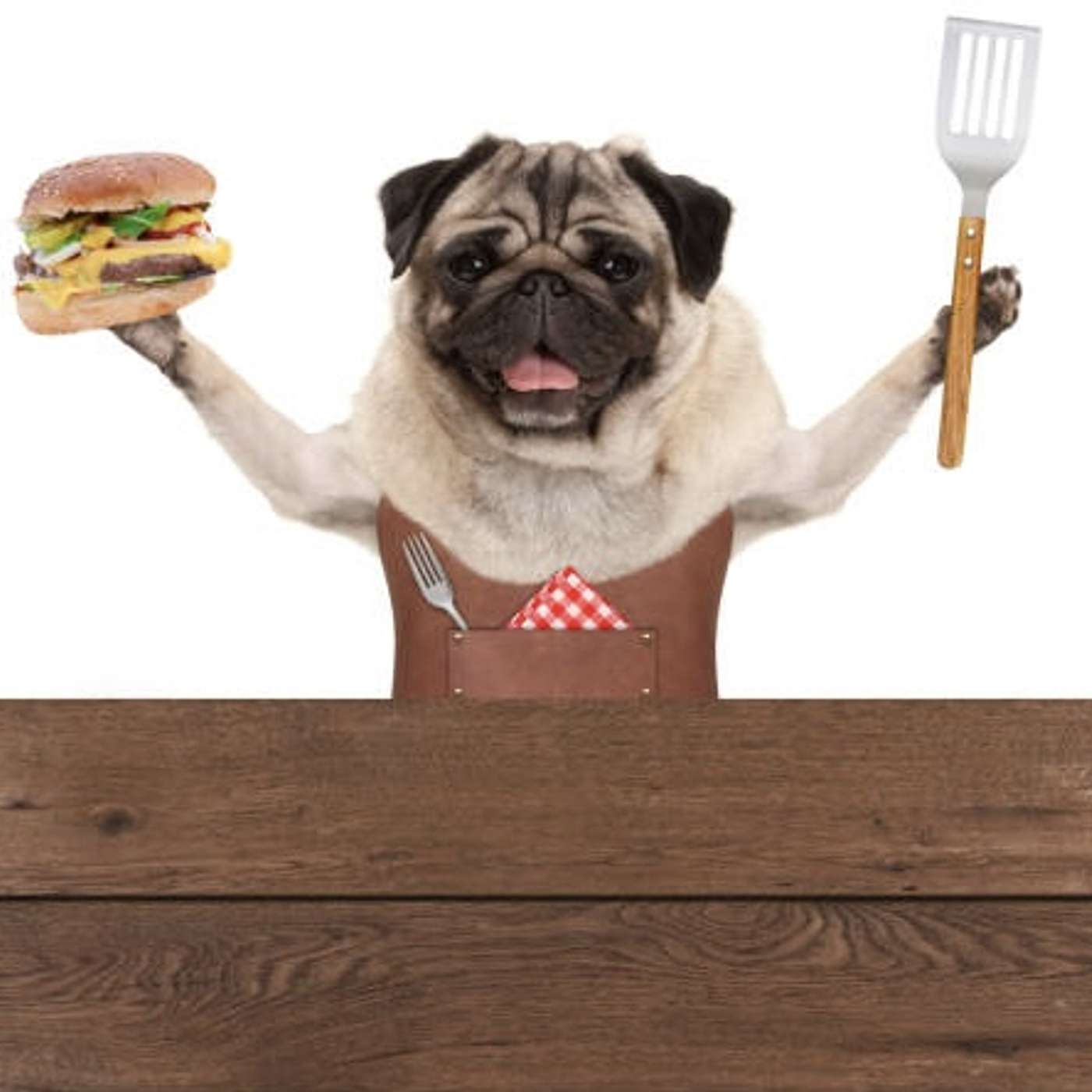 S2 E2 - My Dog Ate My Spatula episode artwork
