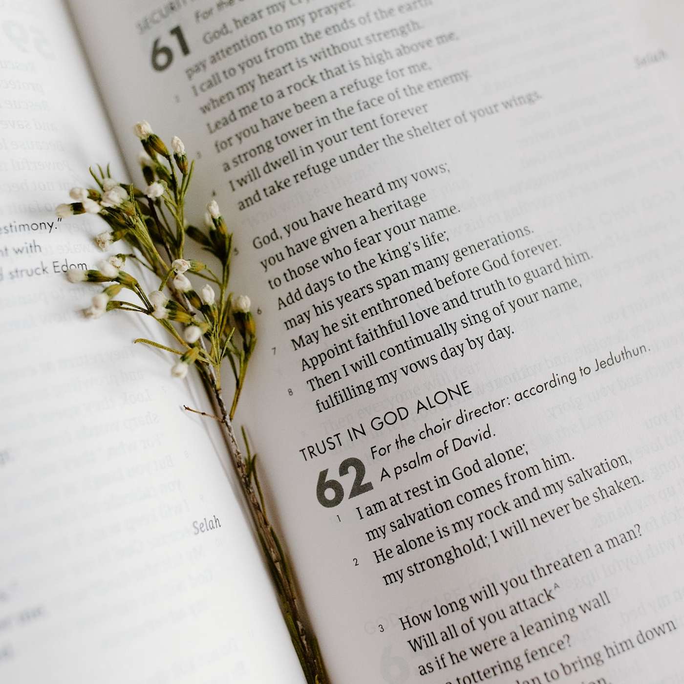 Journey with Scriptures