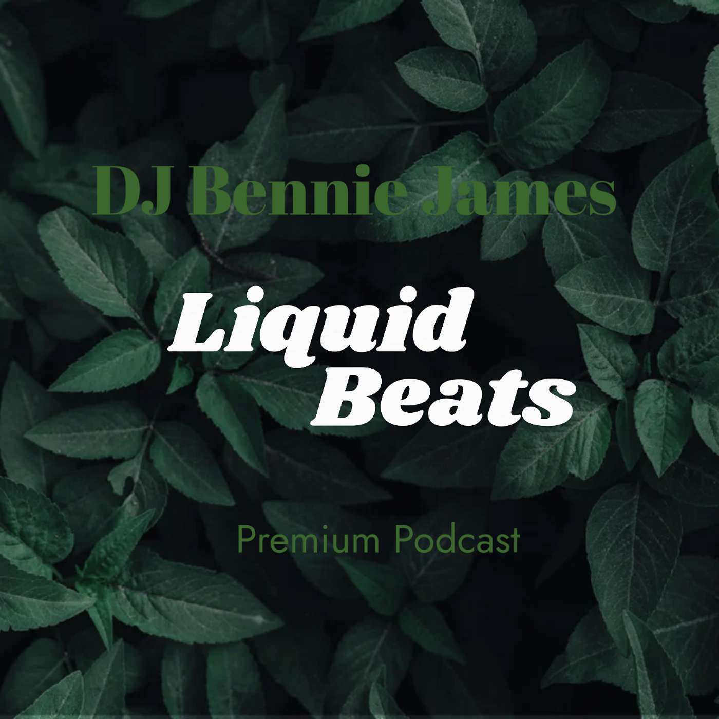 DJ Bennie James Podcast + (Premium) 🔓