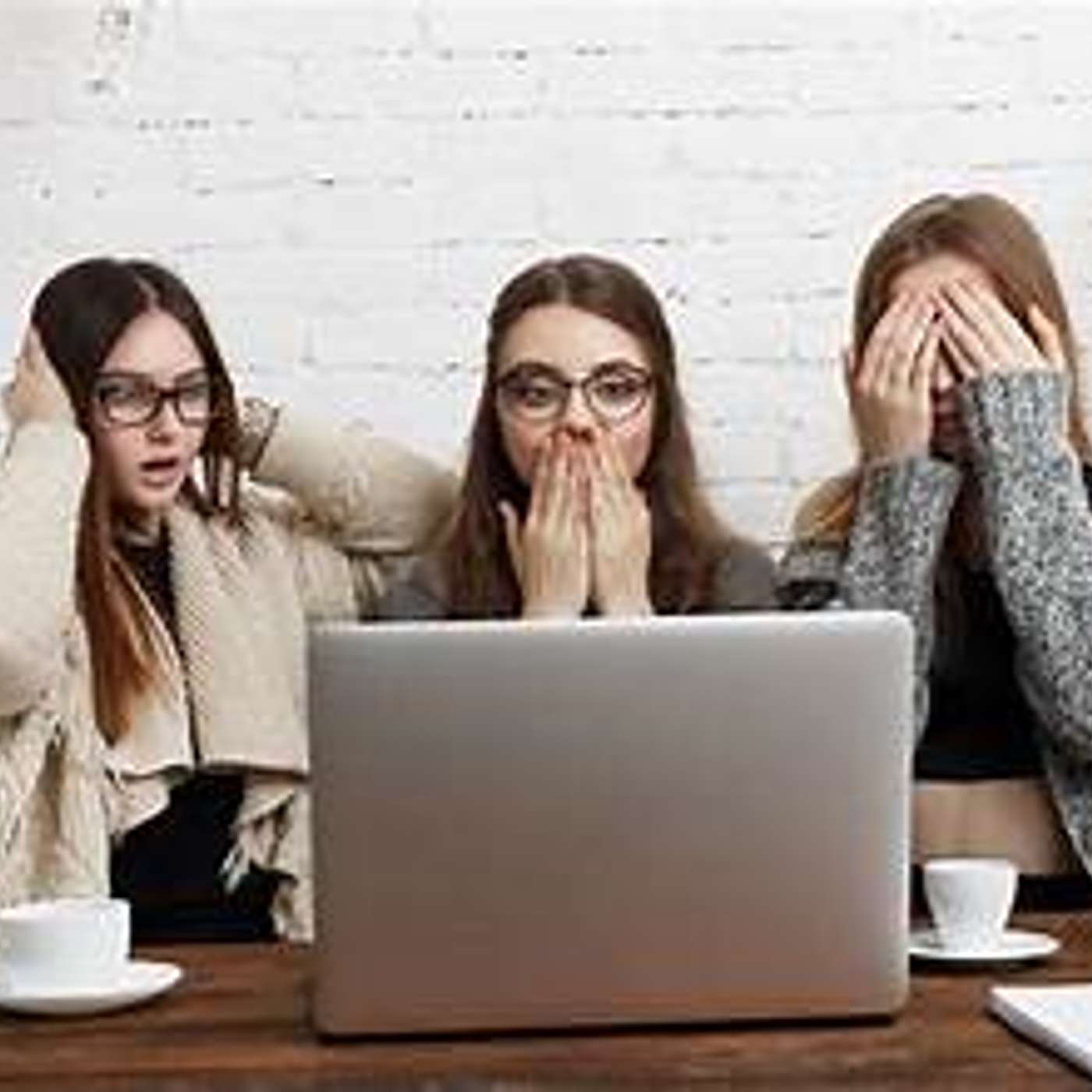 Episode 23 Public messaging for animal welfare organizations