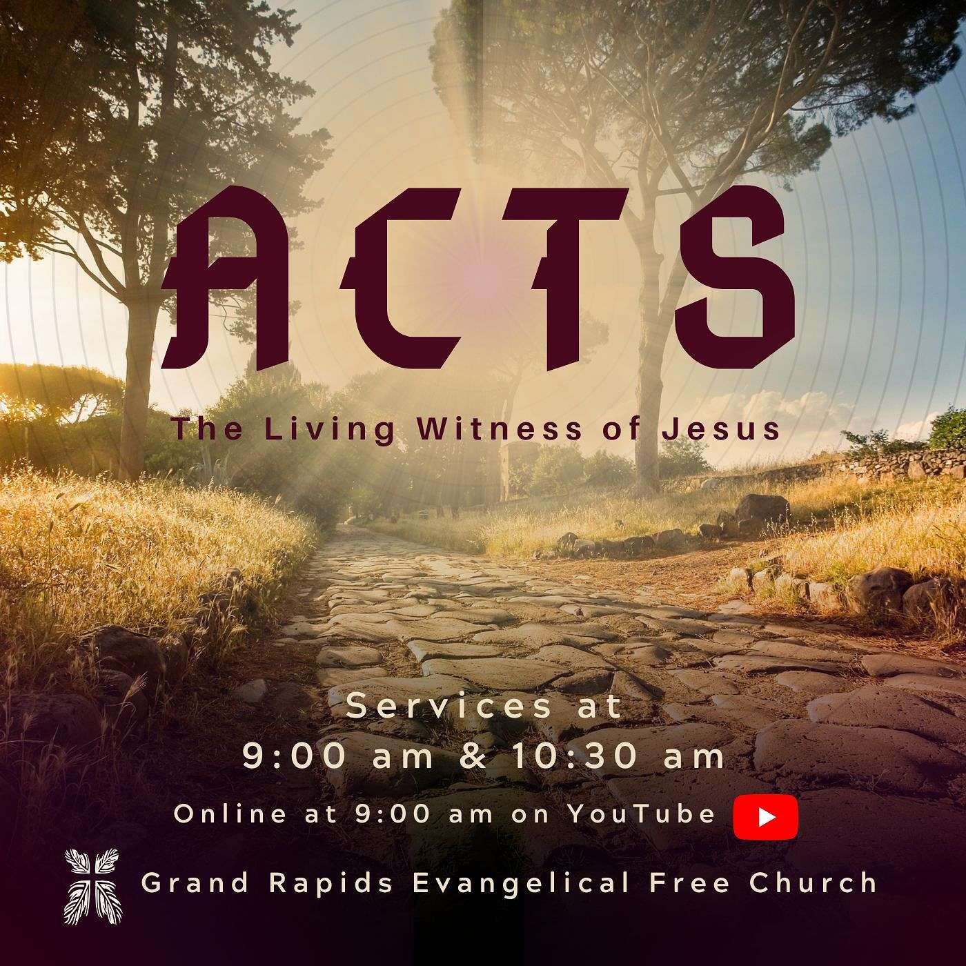 Acts: The Living Witness of Jesus #41 - Disclosing Witnesses episode artwork