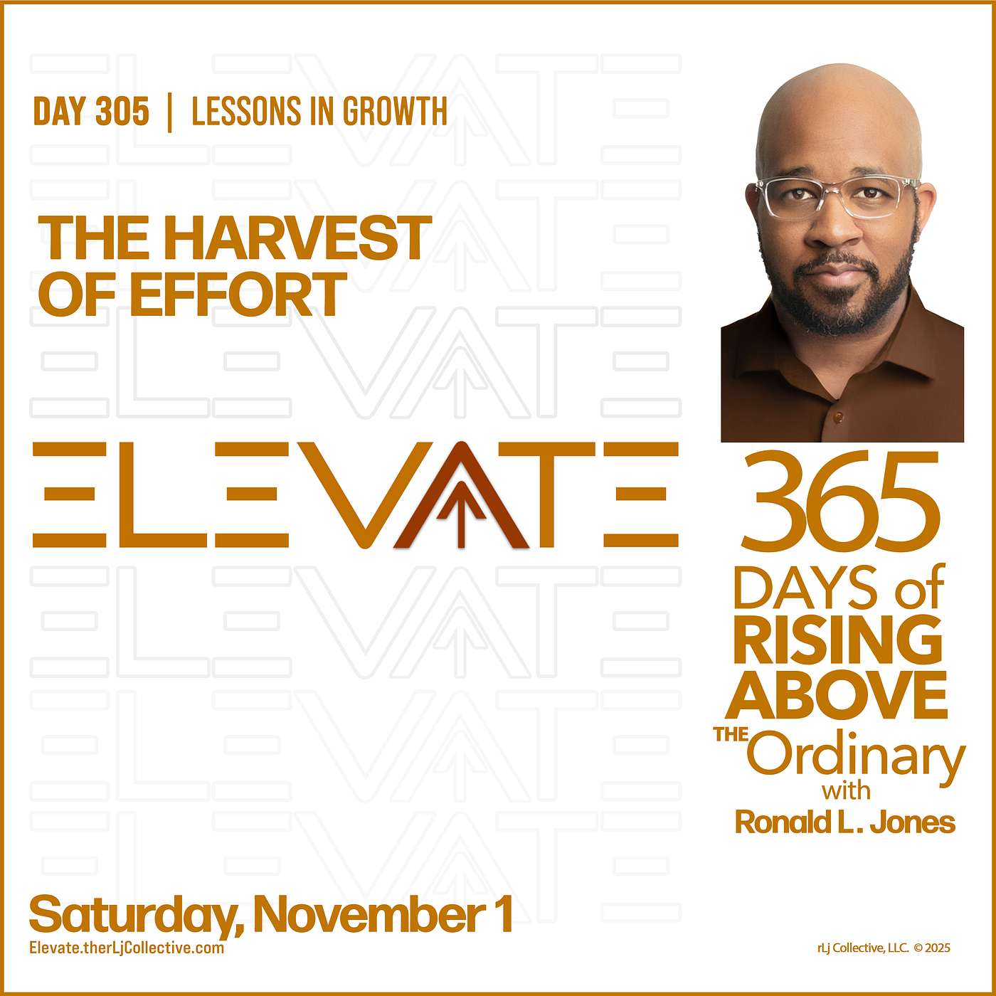 Day 305: The Harvest of Effort