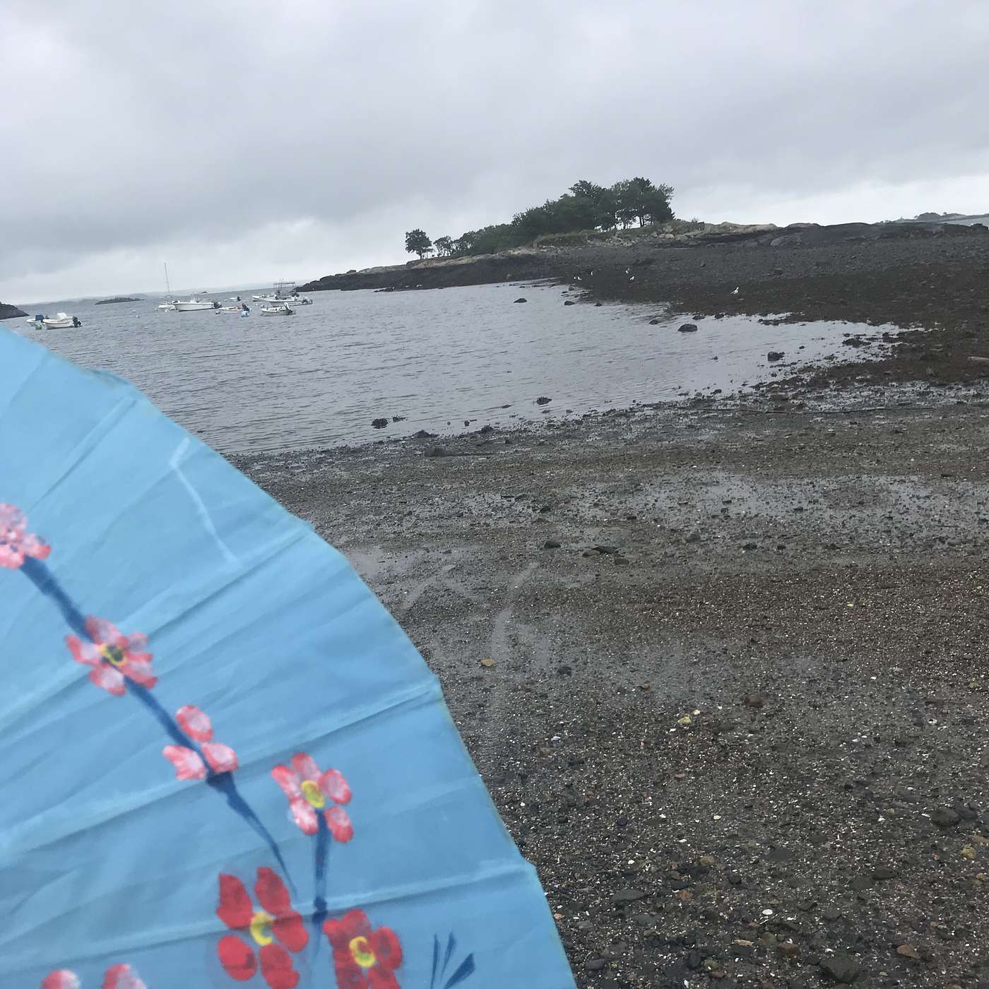 41st Stop, Gas House Beach, July 28 2021 9:00 am