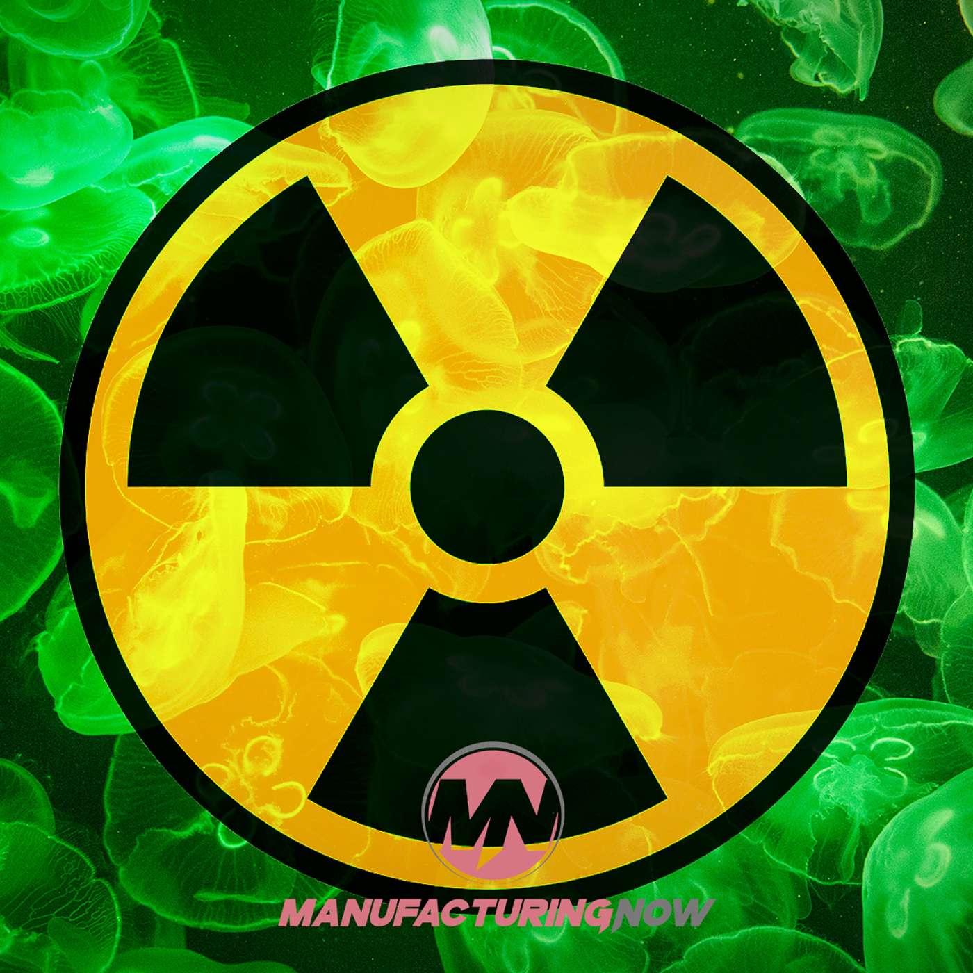 LISTEN: A Swarm of Jellyfish Took Down an Entire Nuclear Power Plant