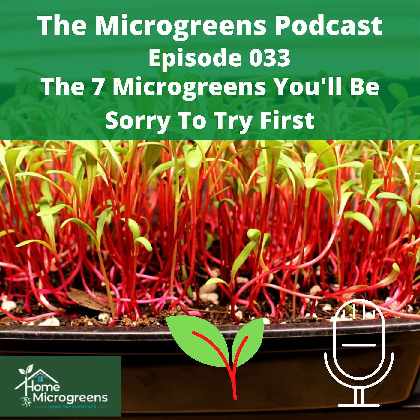 The 7 Microgreens You'll Be Sorry To Try First The 7 Microgreens You'll Be Sorry To Try First