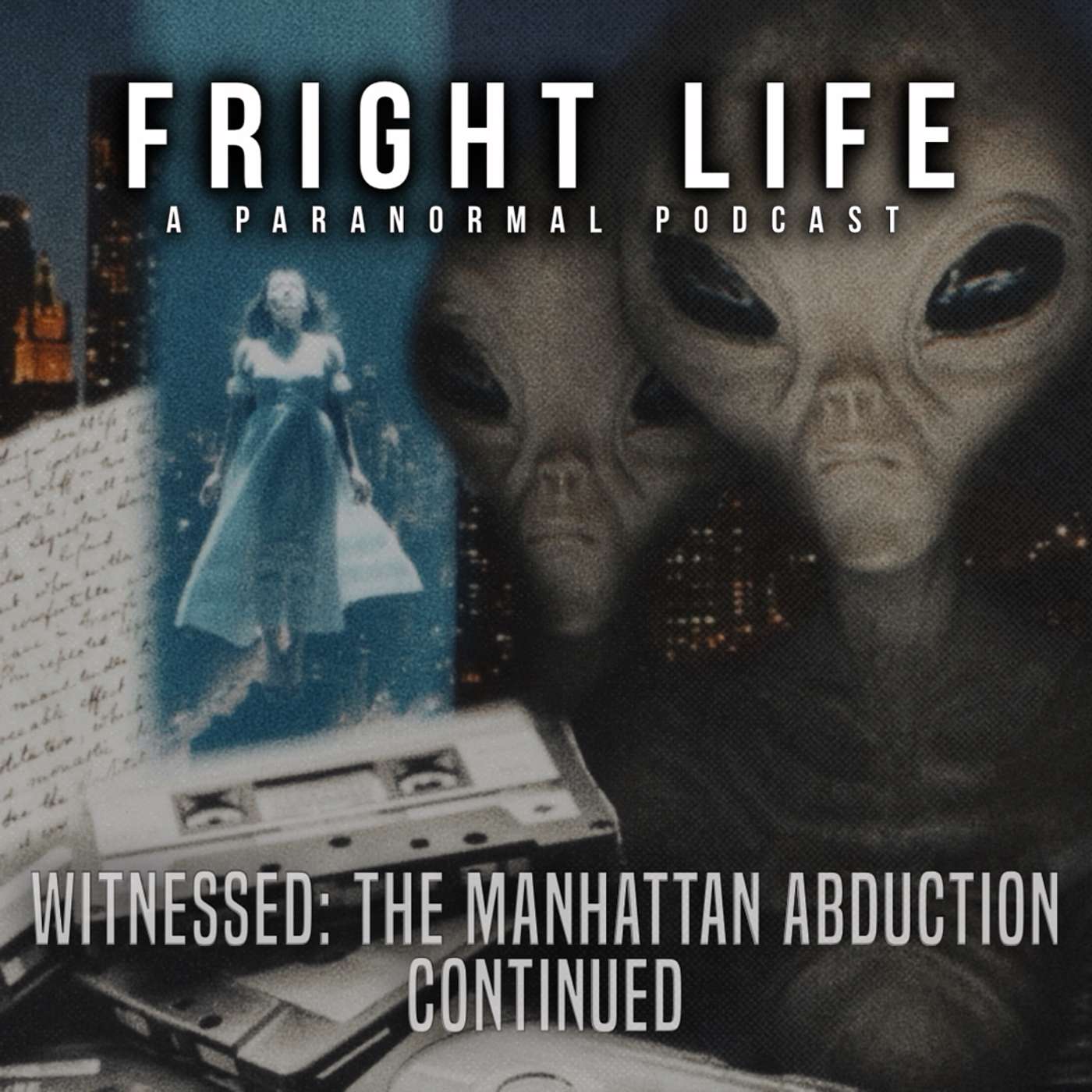 Episode 113: Witnessed: The Manhattan Abduction Continued episode artwork