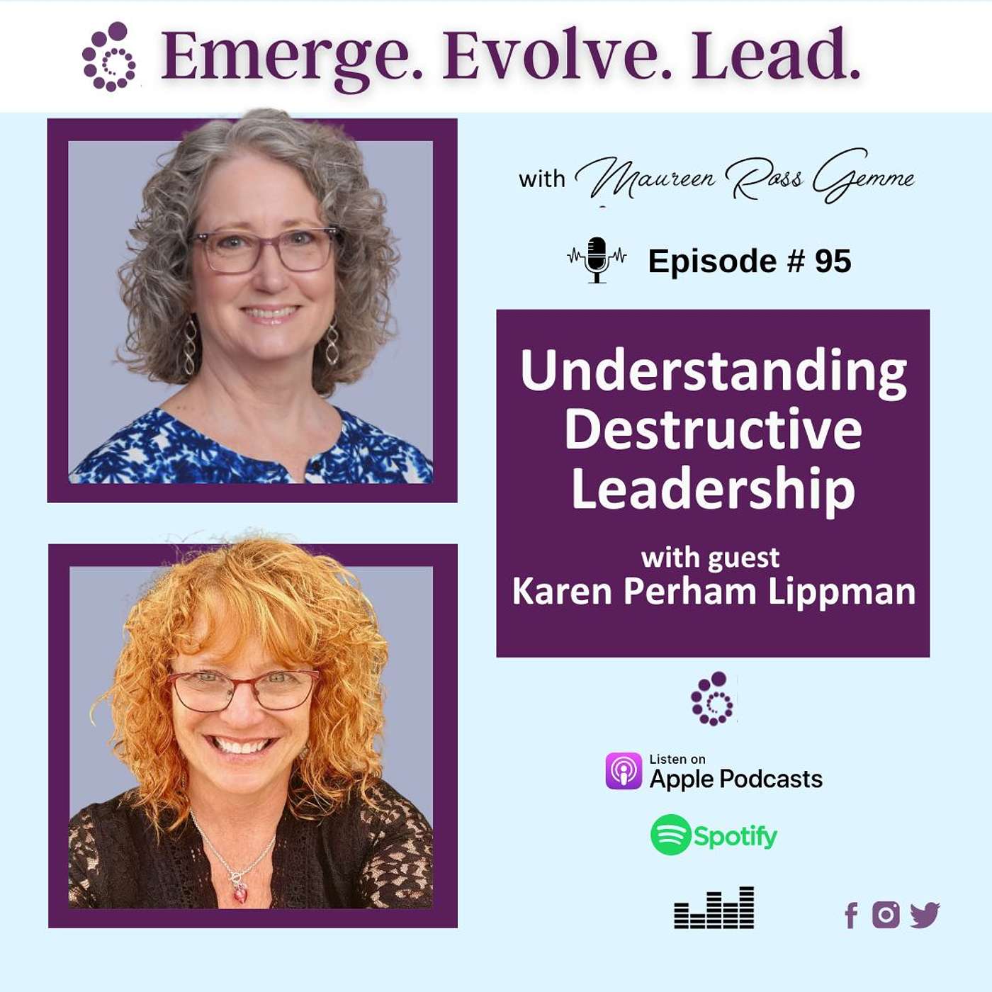 Understanding Destructive Leadership with Karen Perham-Lippman