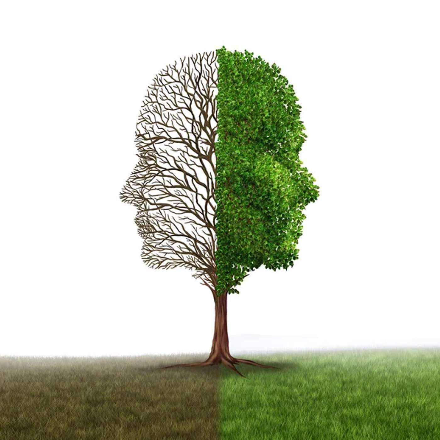 The Double Minded Man