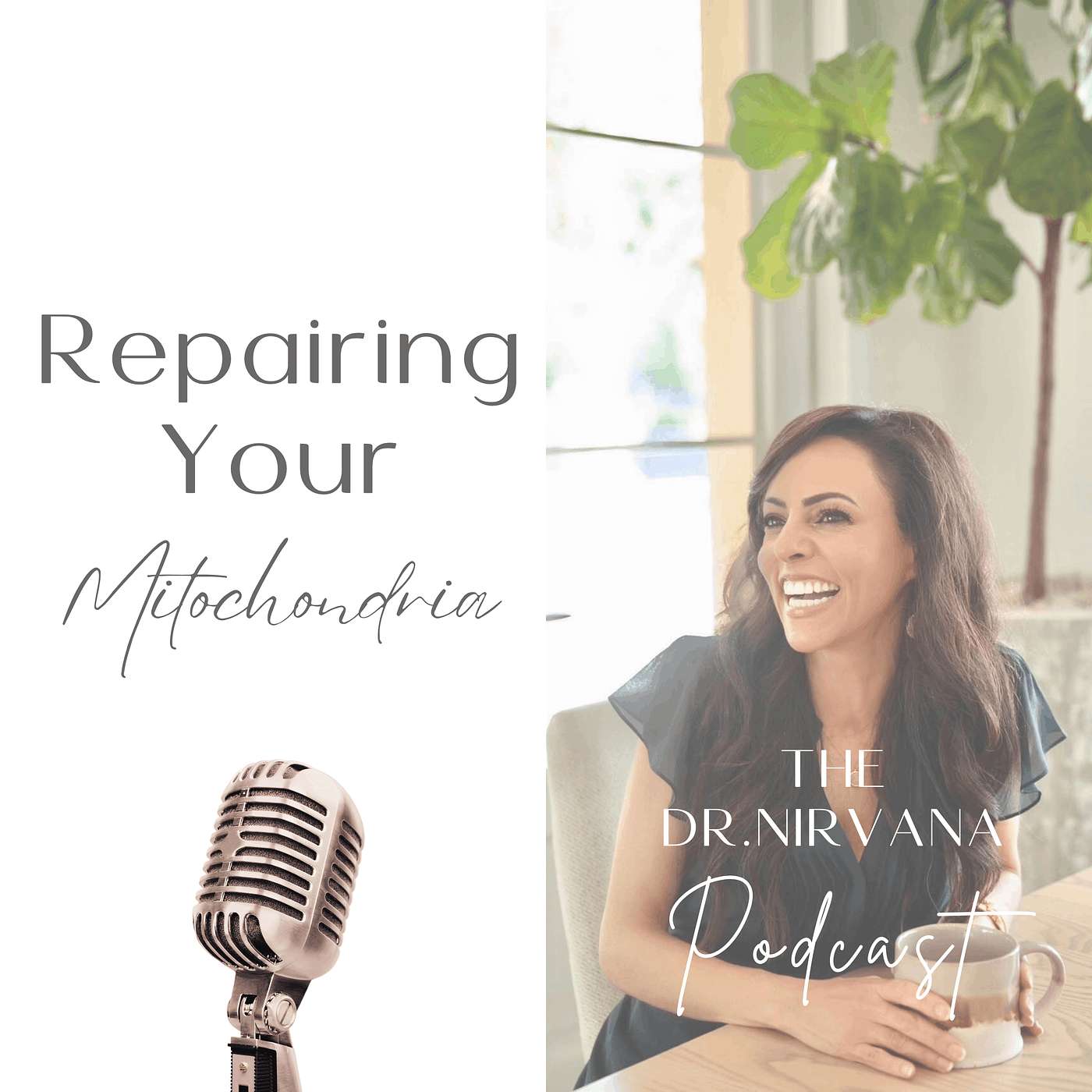 Repair Your Mitchondria Naturally episode artwork