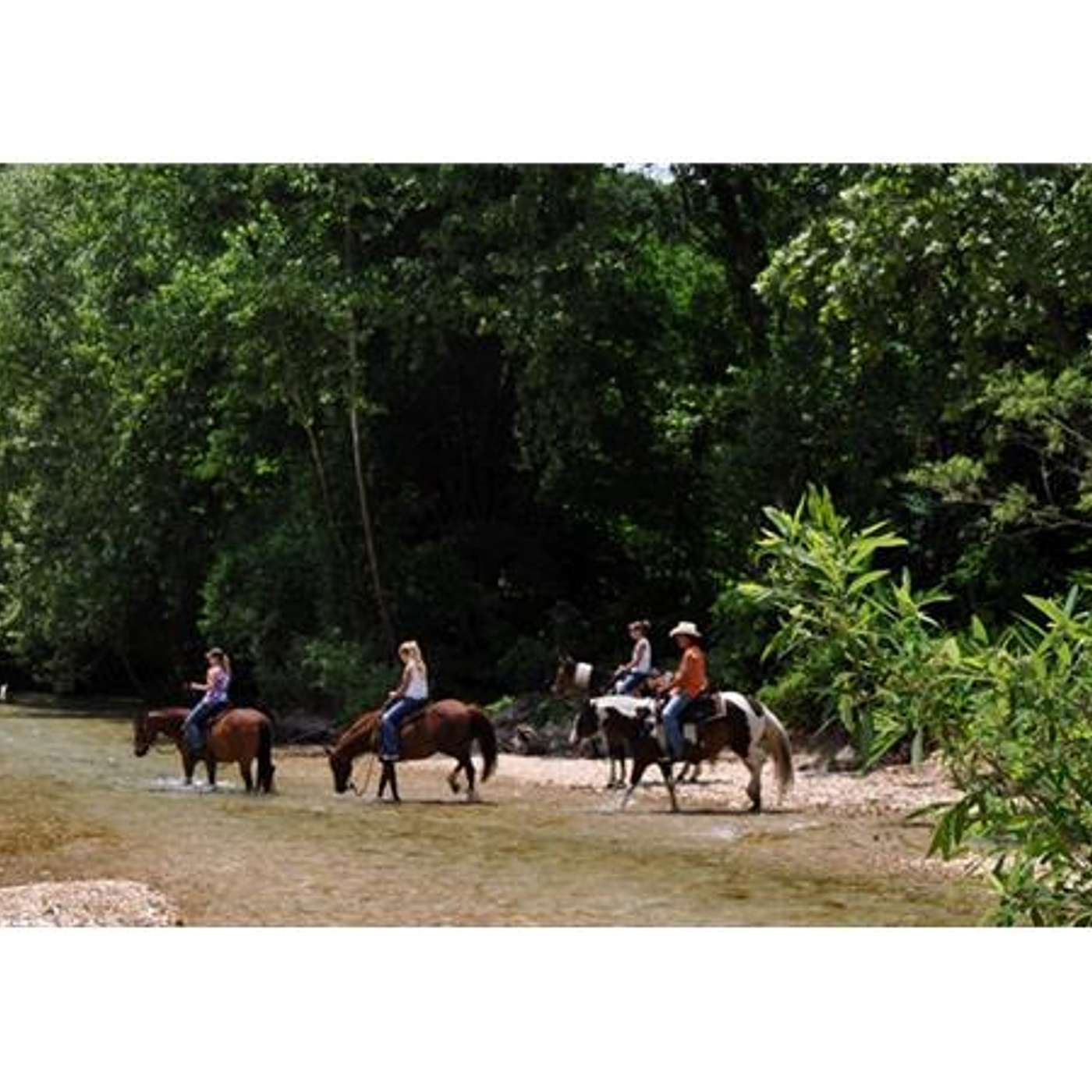 RIDE THE OZARKS on Equestrian Legacy Radio's SADDLE UP AMERICA!