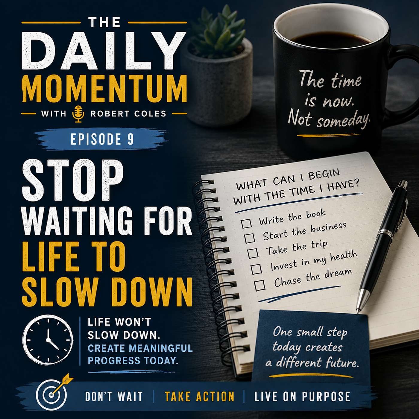 Stop Waiting for Life to Slow Down episode artwork