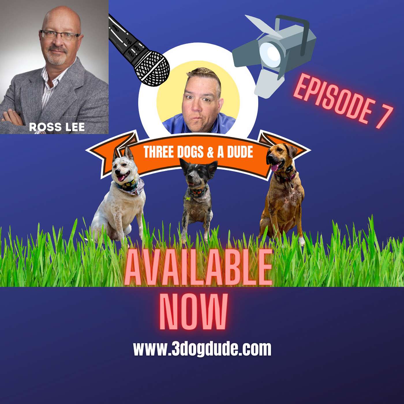 3 DOGS & A DUDE: EPISODE 7 - ROSS LEE (Asset Insurance Management & Lee Property Group) episode artwork