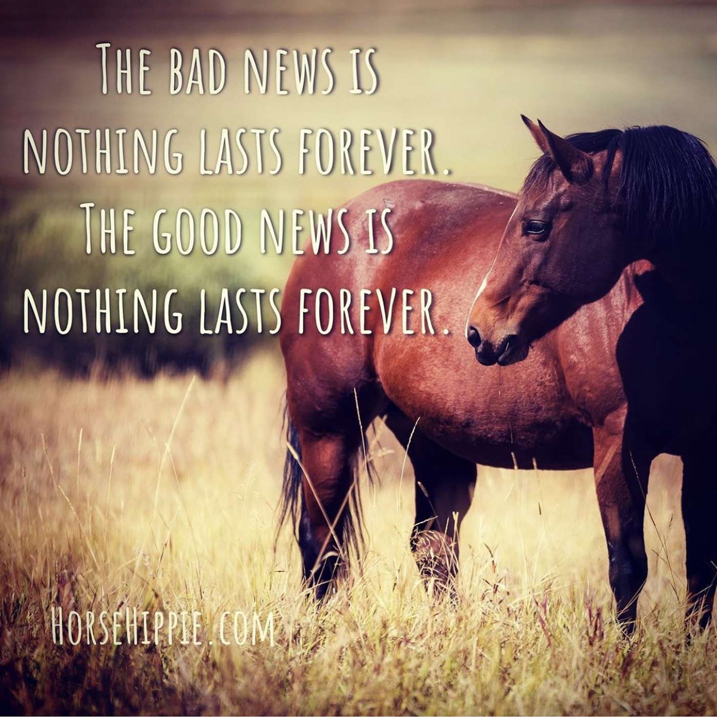 Nothing Lasts Forever episode artwork